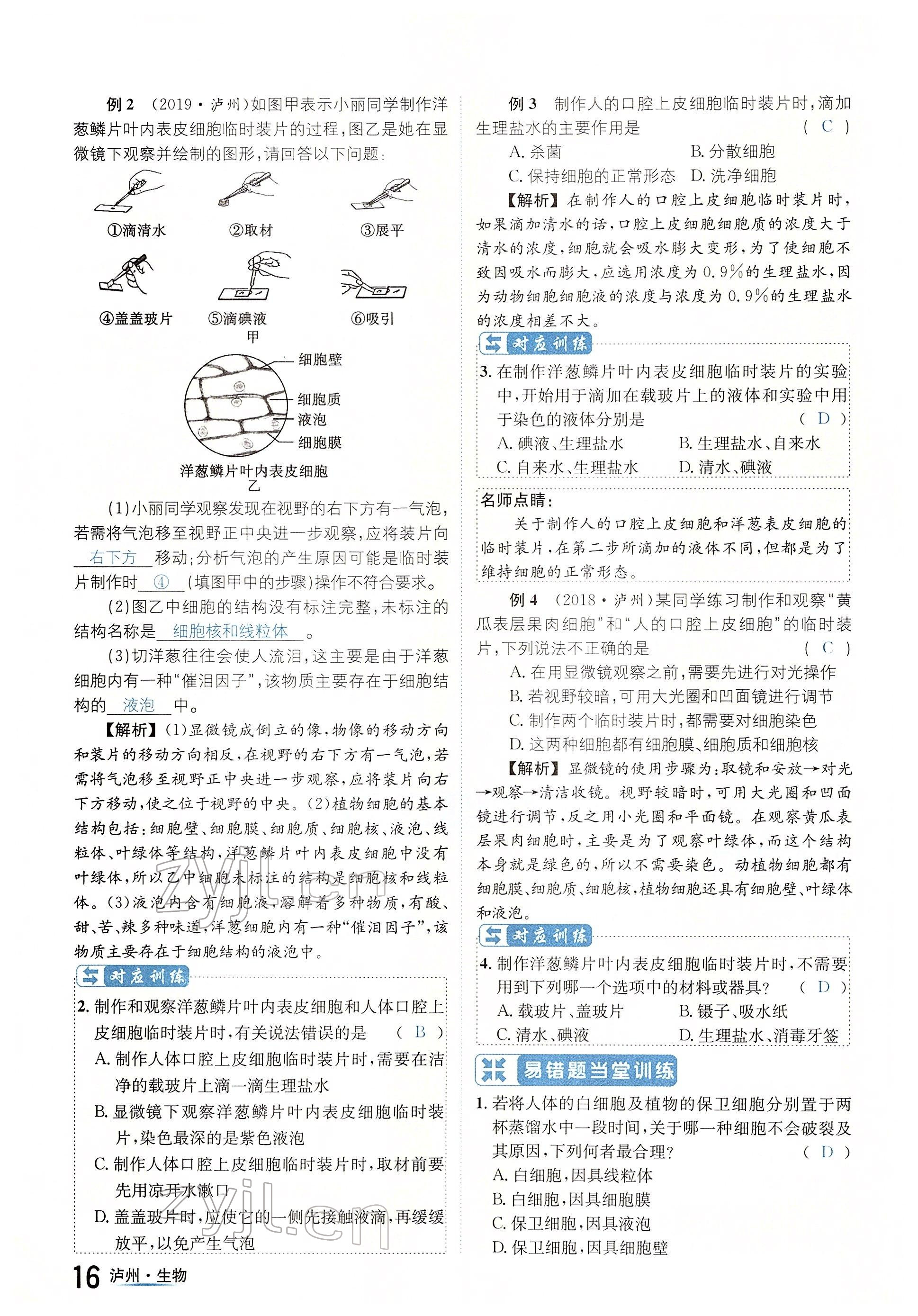 2022年國華考試中考總動(dòng)員生物瀘州專版 參考答案第16頁