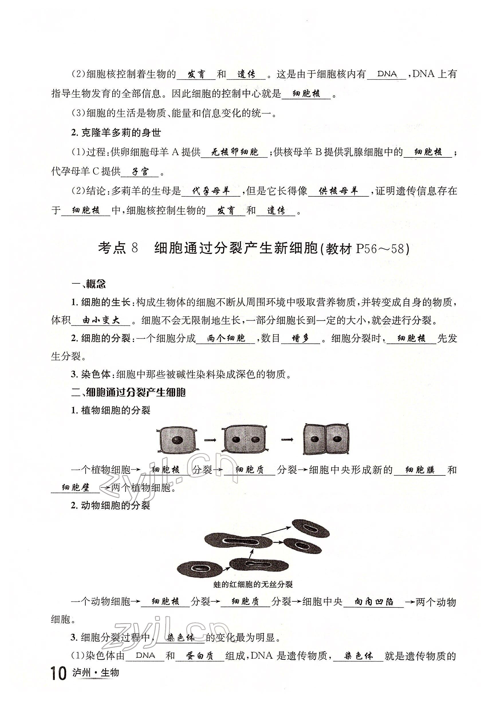 2022年国华考试中考总动员生物泸州专版 参考答案第10页