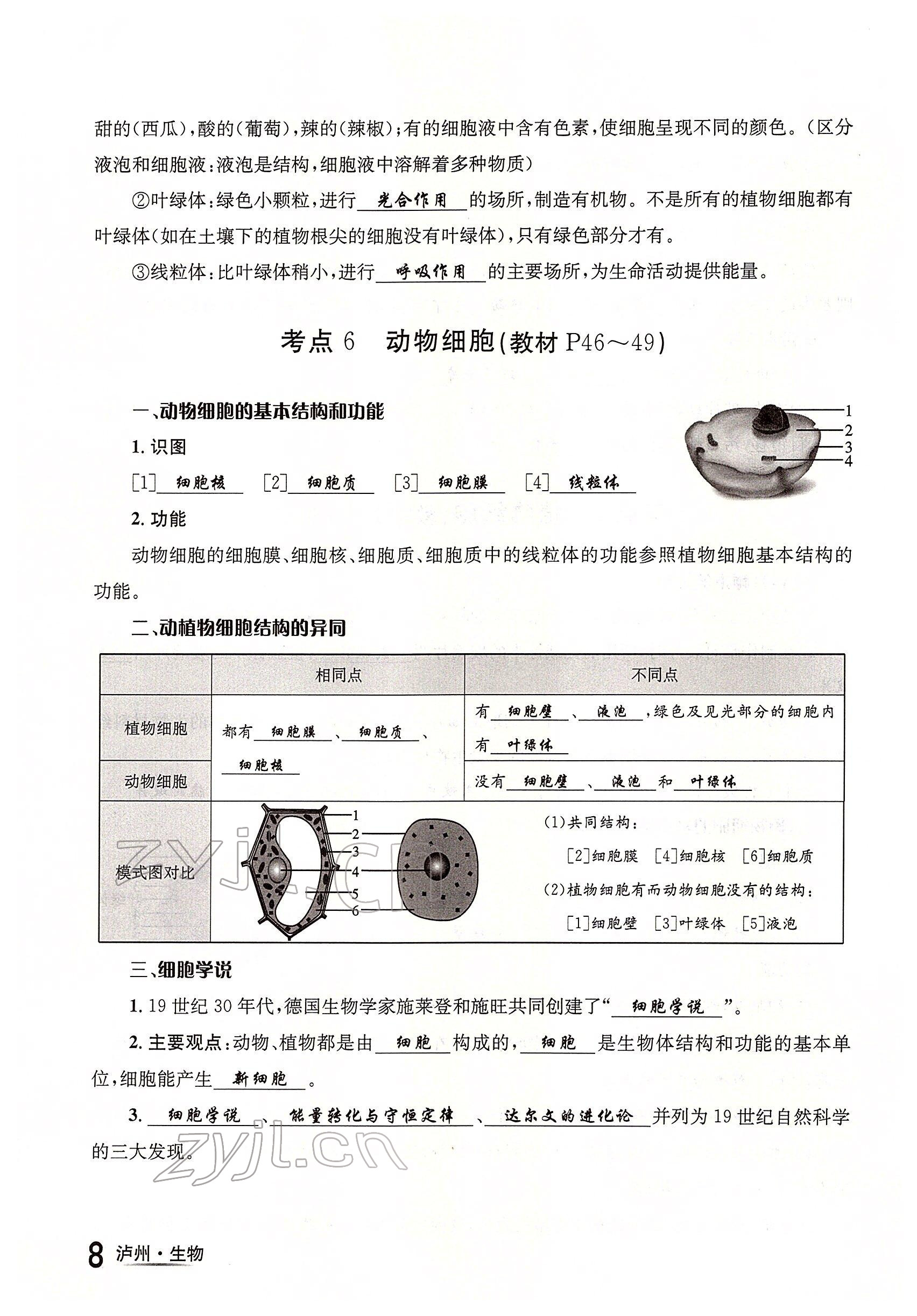 2022年国华考试中考总动员生物泸州专版 参考答案第8页