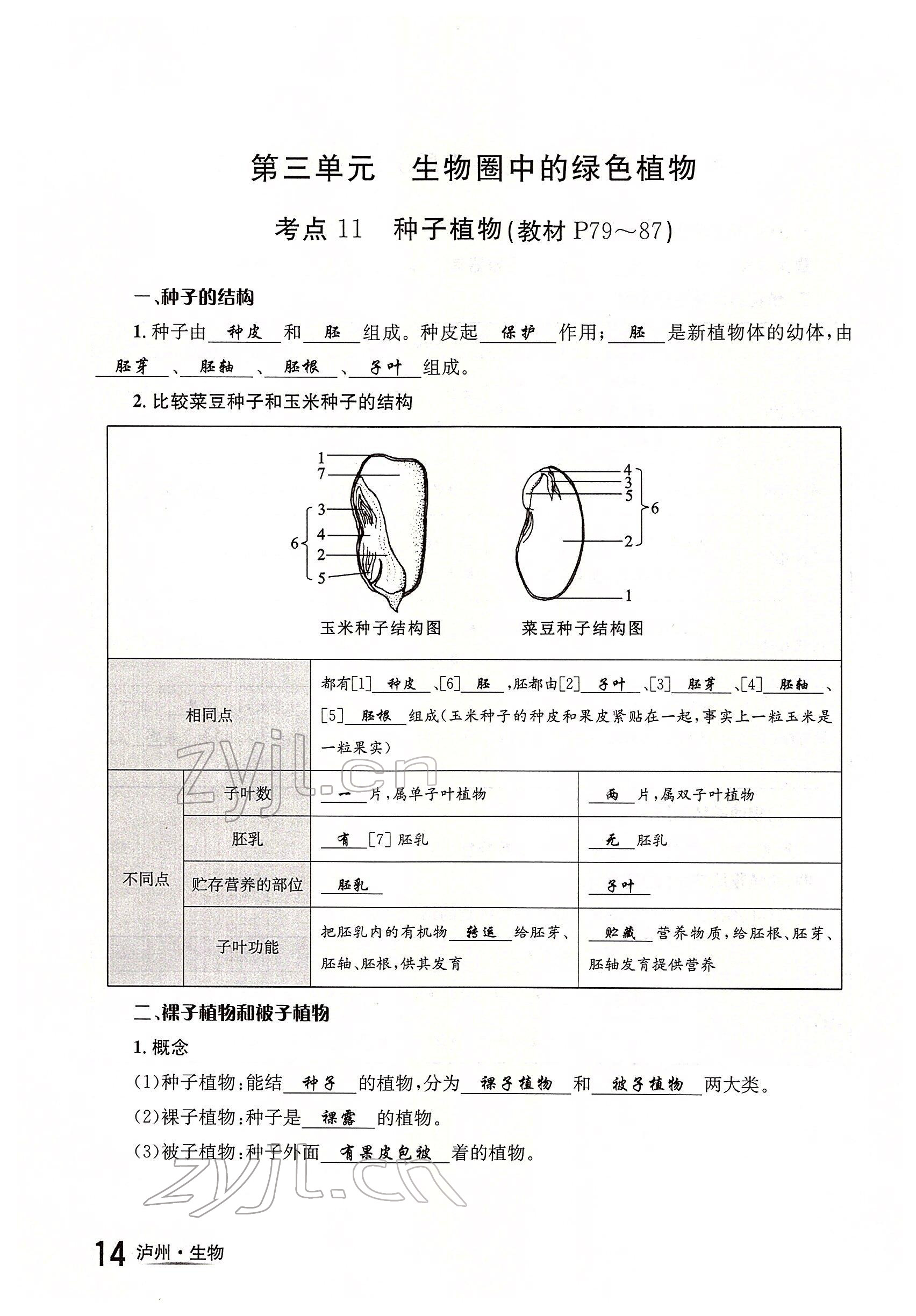 2022年國華考試中考總動員生物瀘州專版 參考答案第14頁