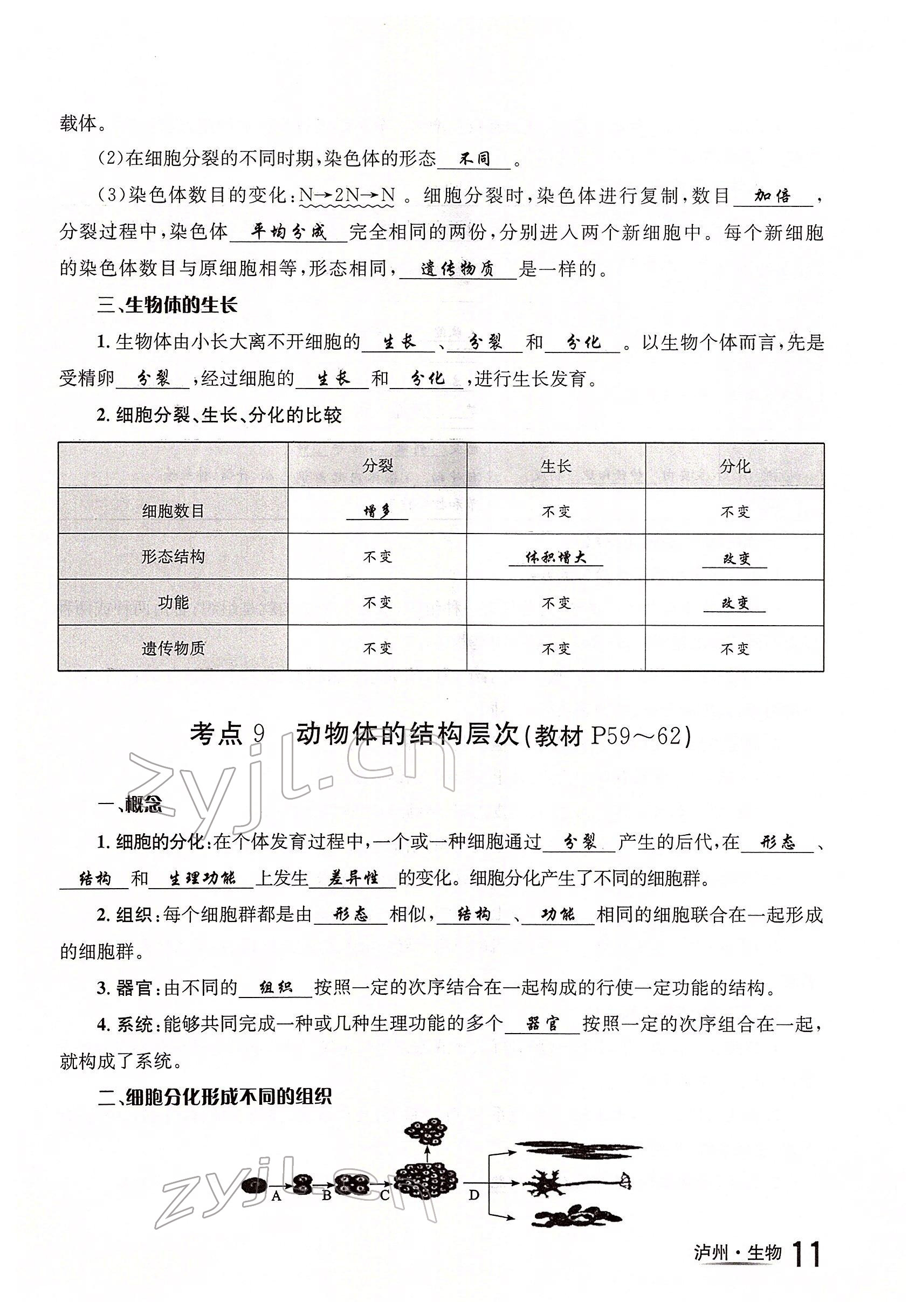 2022年国华考试中考总动员生物泸州专版 参考答案第11页