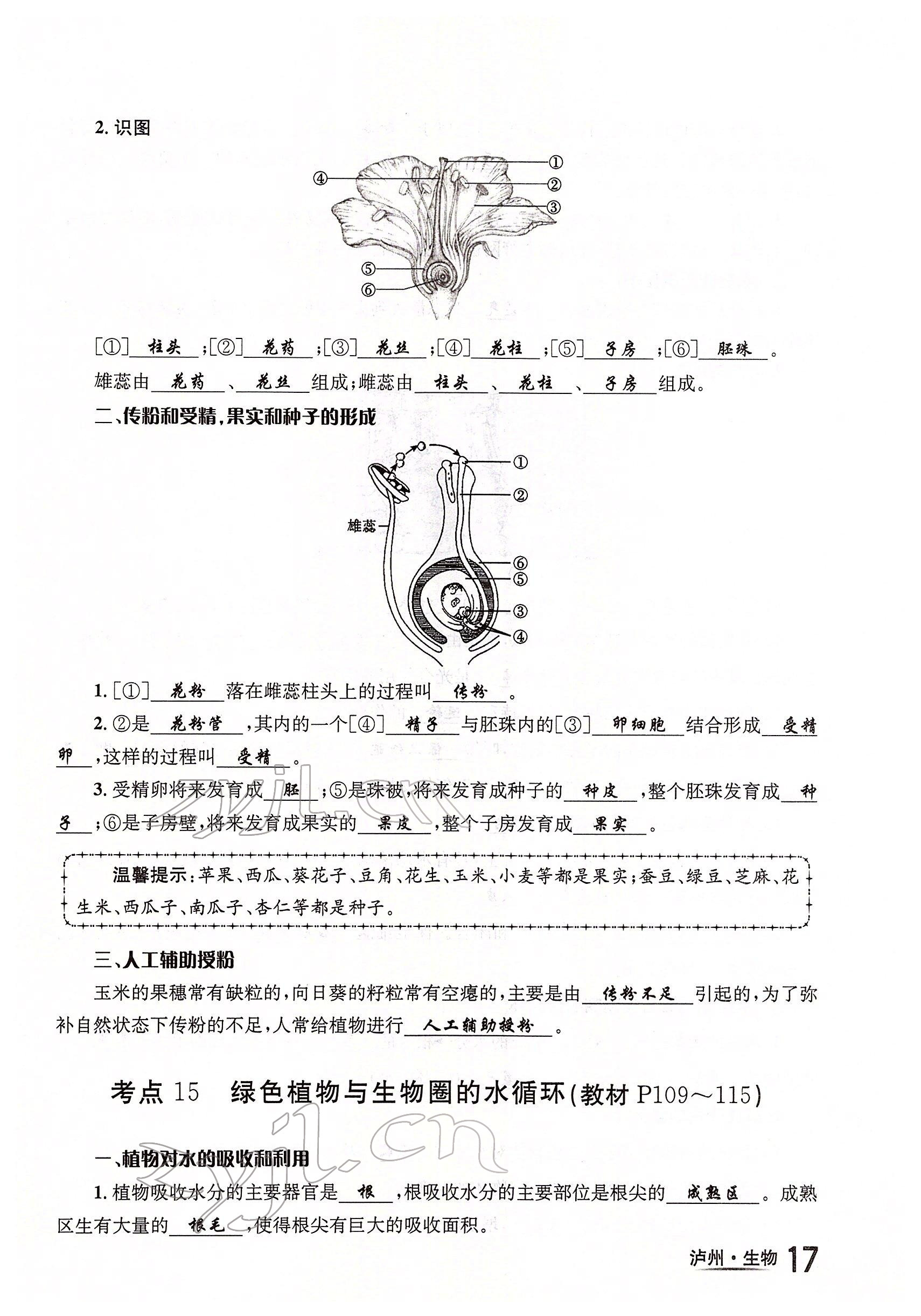 2022年国华考试中考总动员生物泸州专版 参考答案第17页