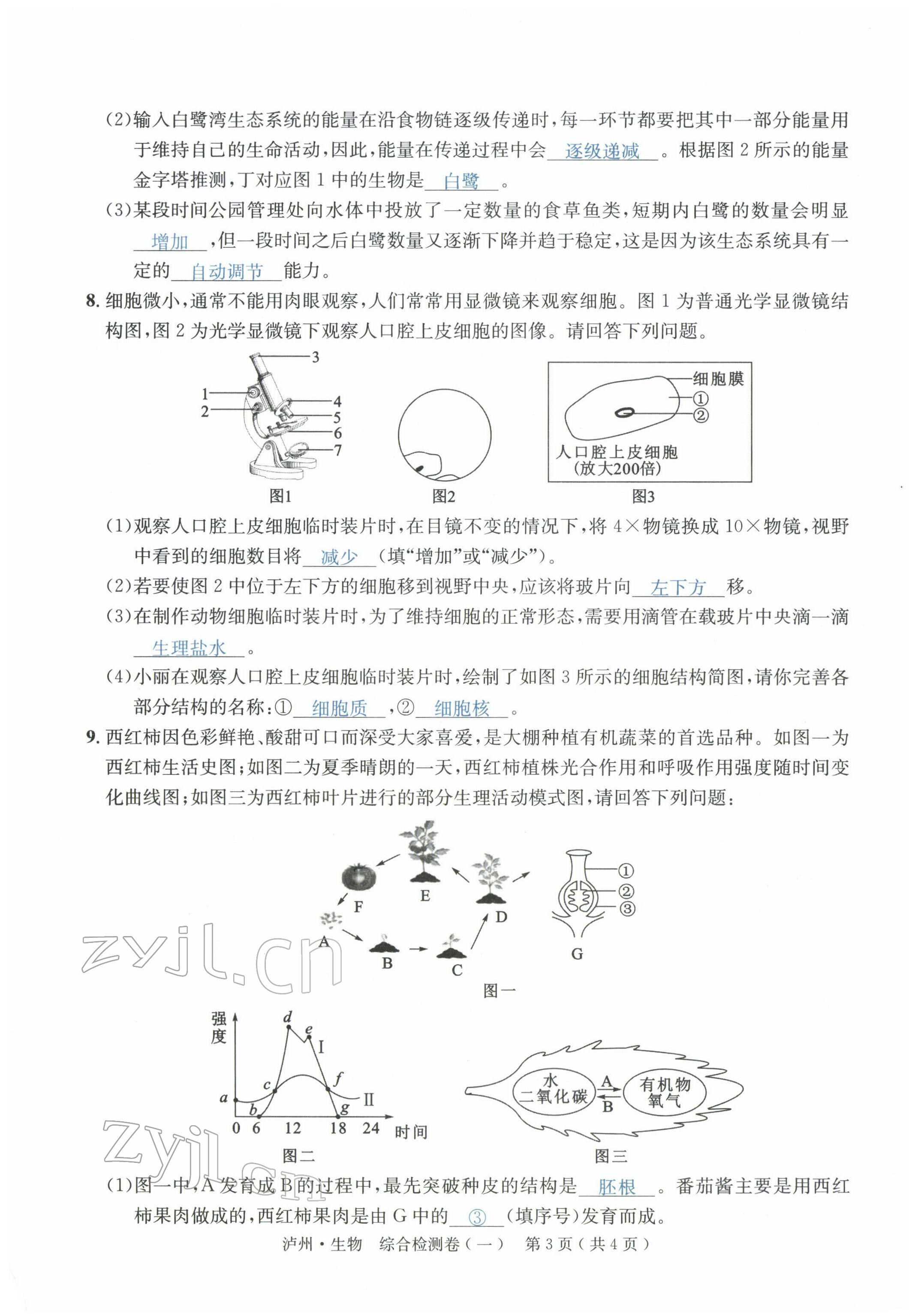 2022年国华考试中考总动员生物泸州专版 第15页