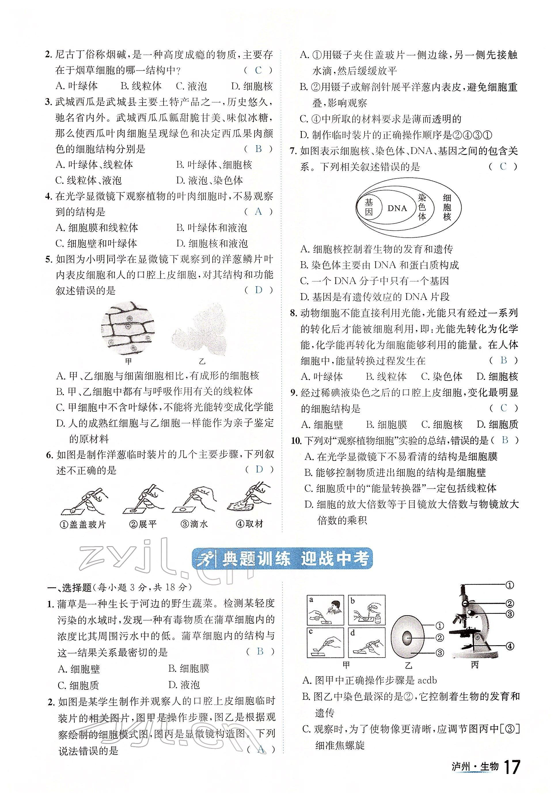 2022年国华考试中考总动员生物泸州专版 参考答案第17页