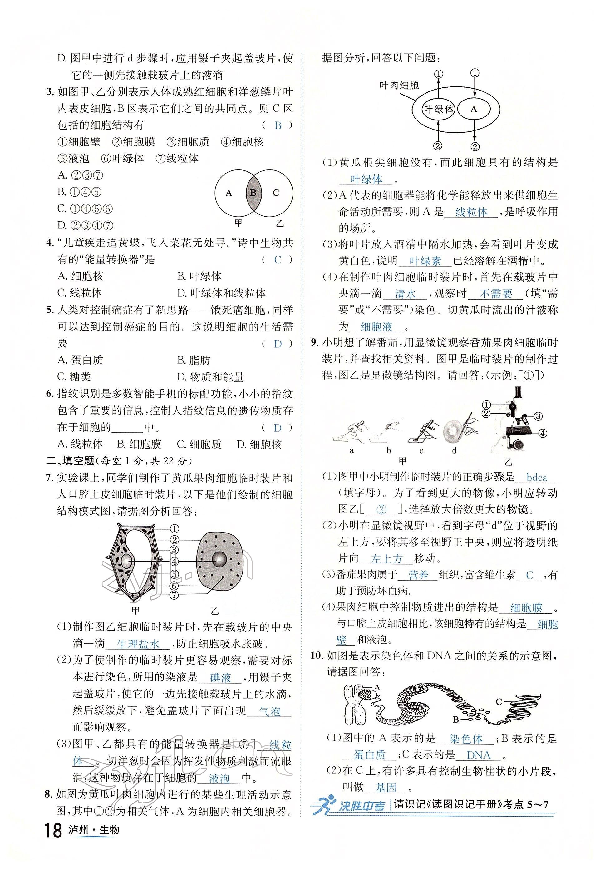 2022年国华考试中考总动员生物泸州专版 参考答案第18页