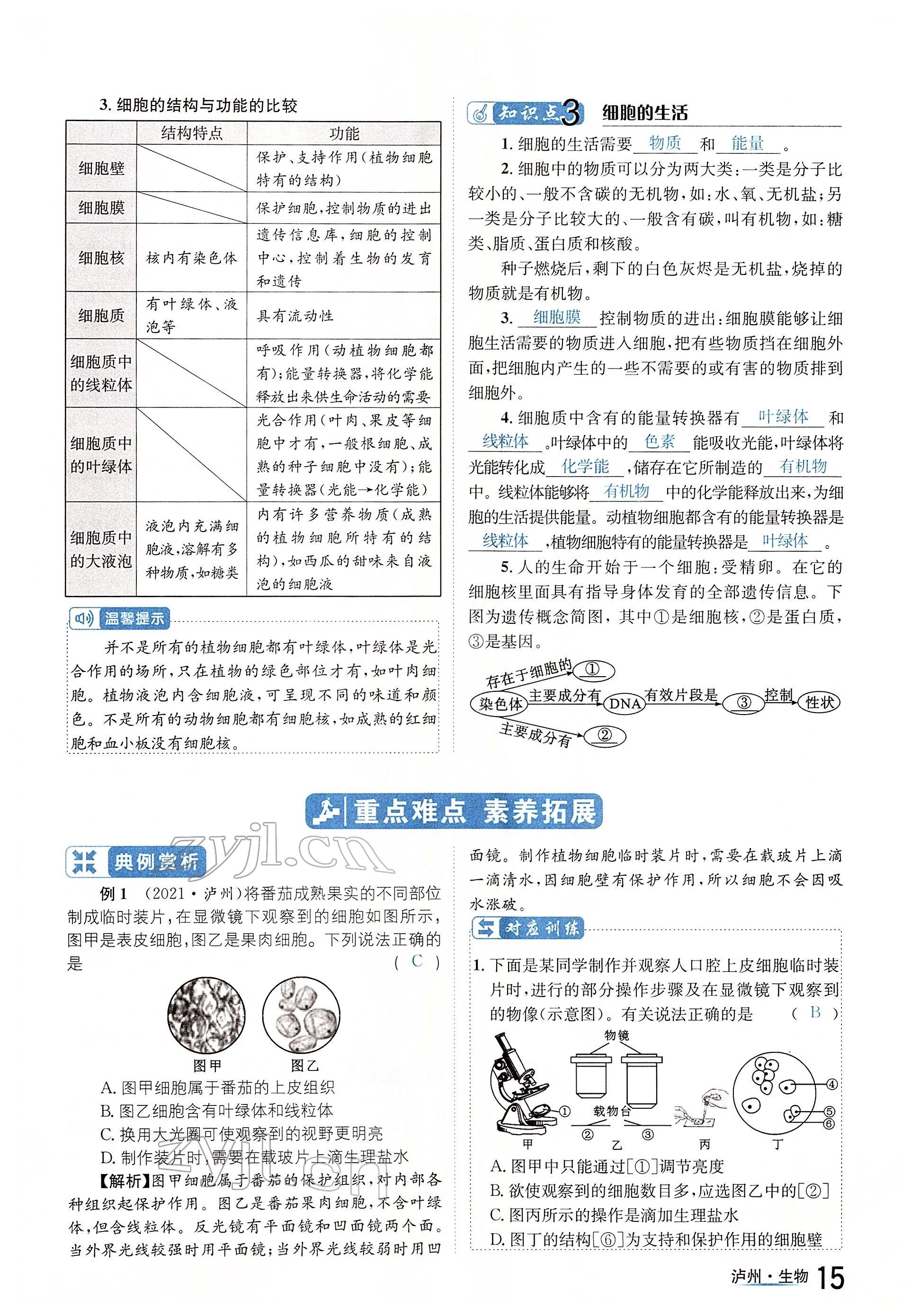 2022年國華考試中考總動員生物瀘州專版 參考答案第15頁