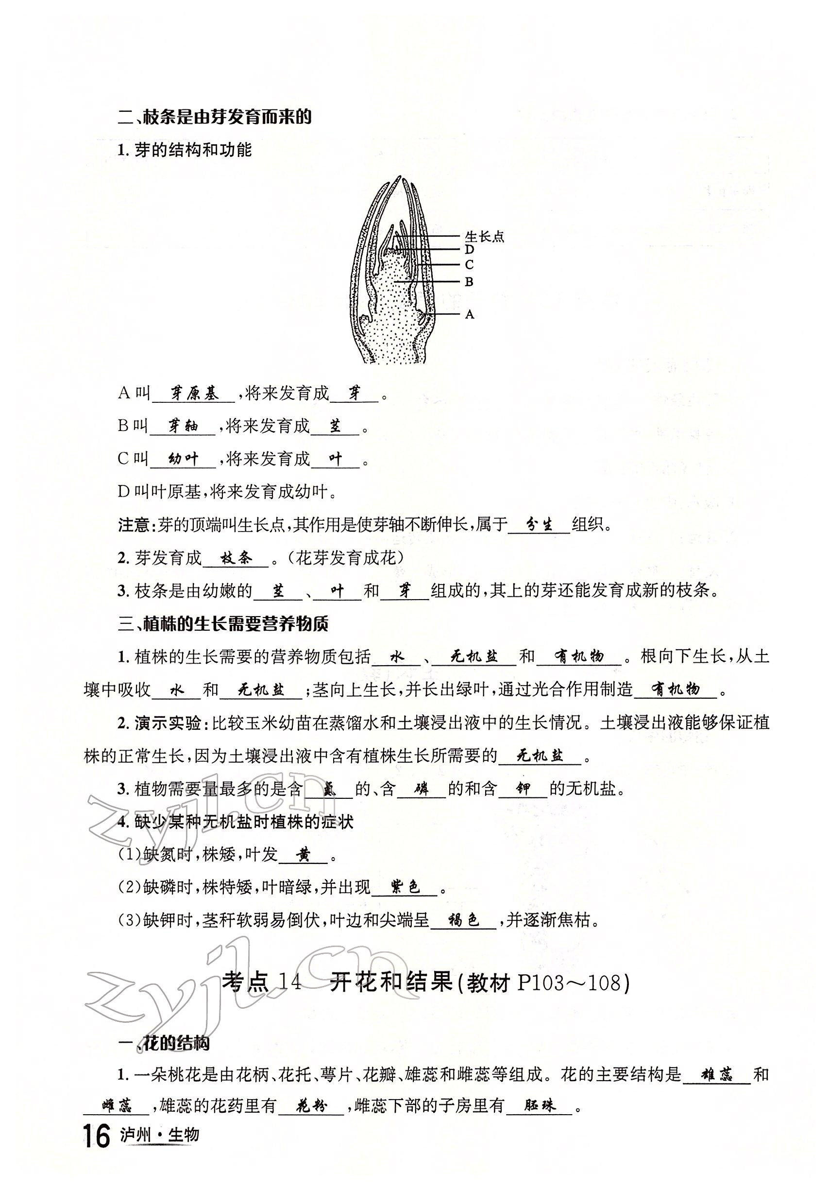 2022年国华考试中考总动员生物泸州专版 参考答案第16页