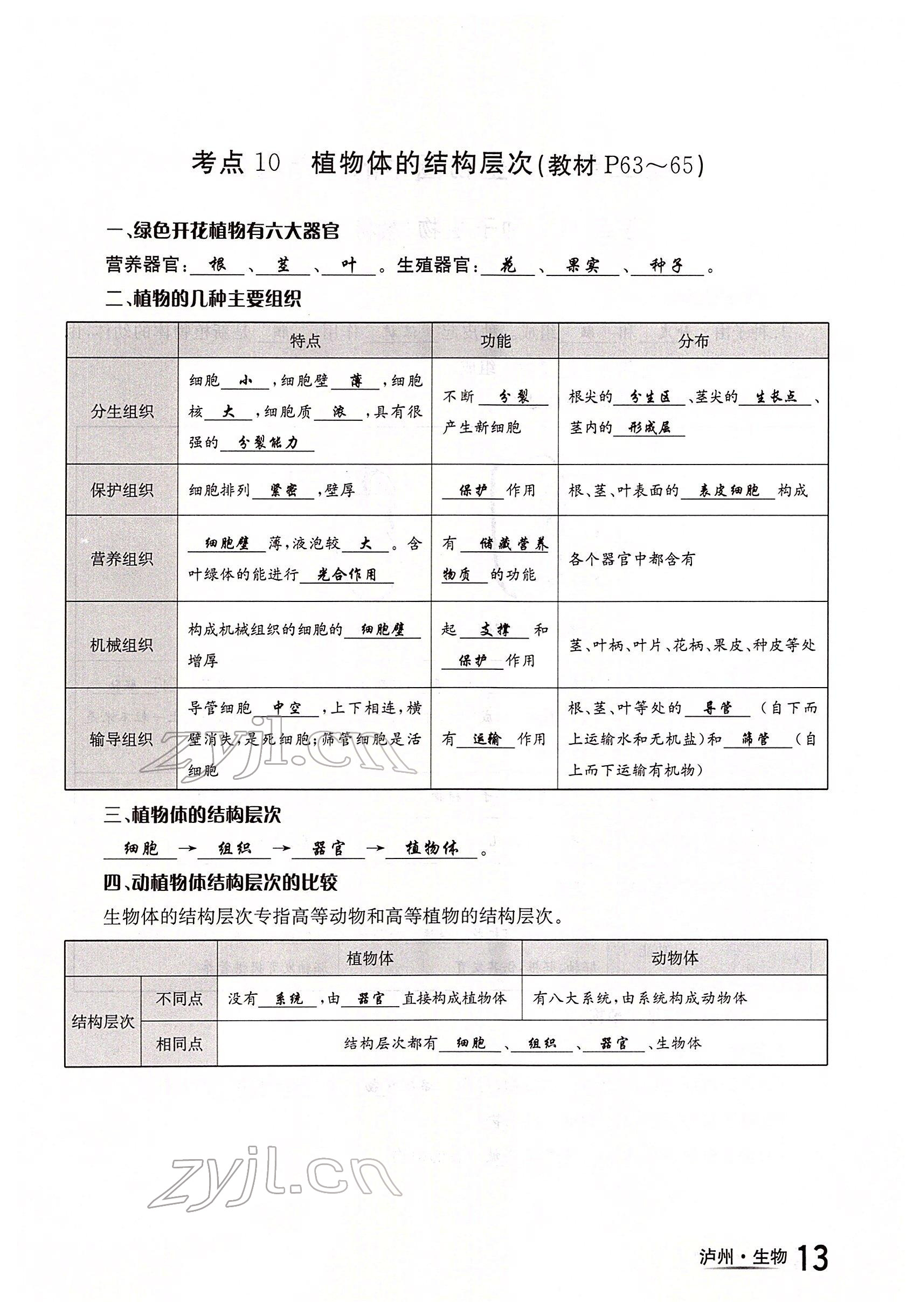 2022年国华考试中考总动员生物泸州专版 参考答案第13页