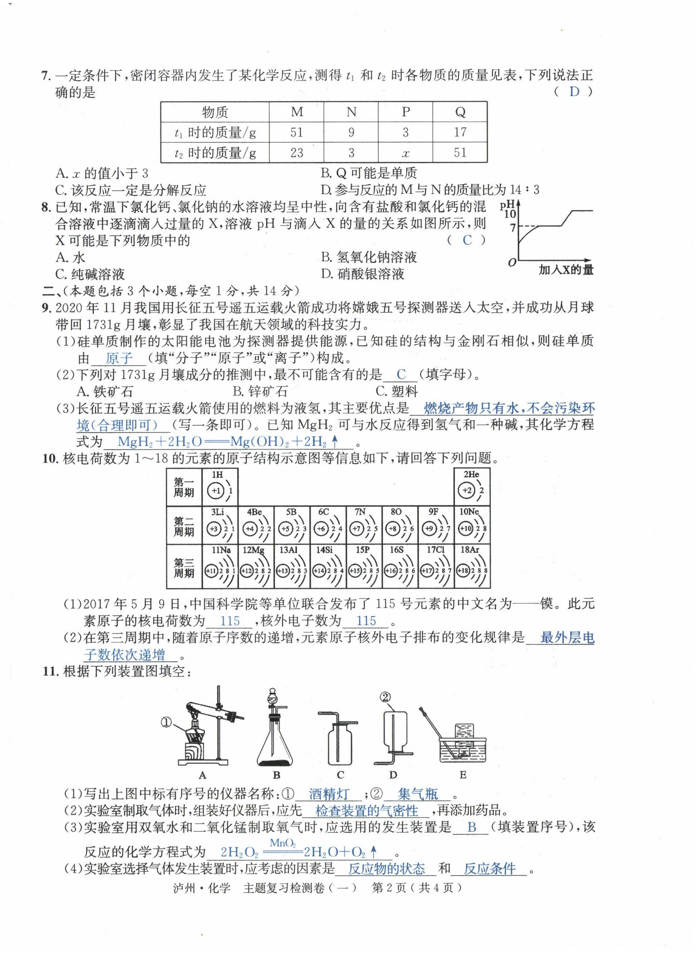 2022年国华考试中考总动员化学泸州专版 第2页