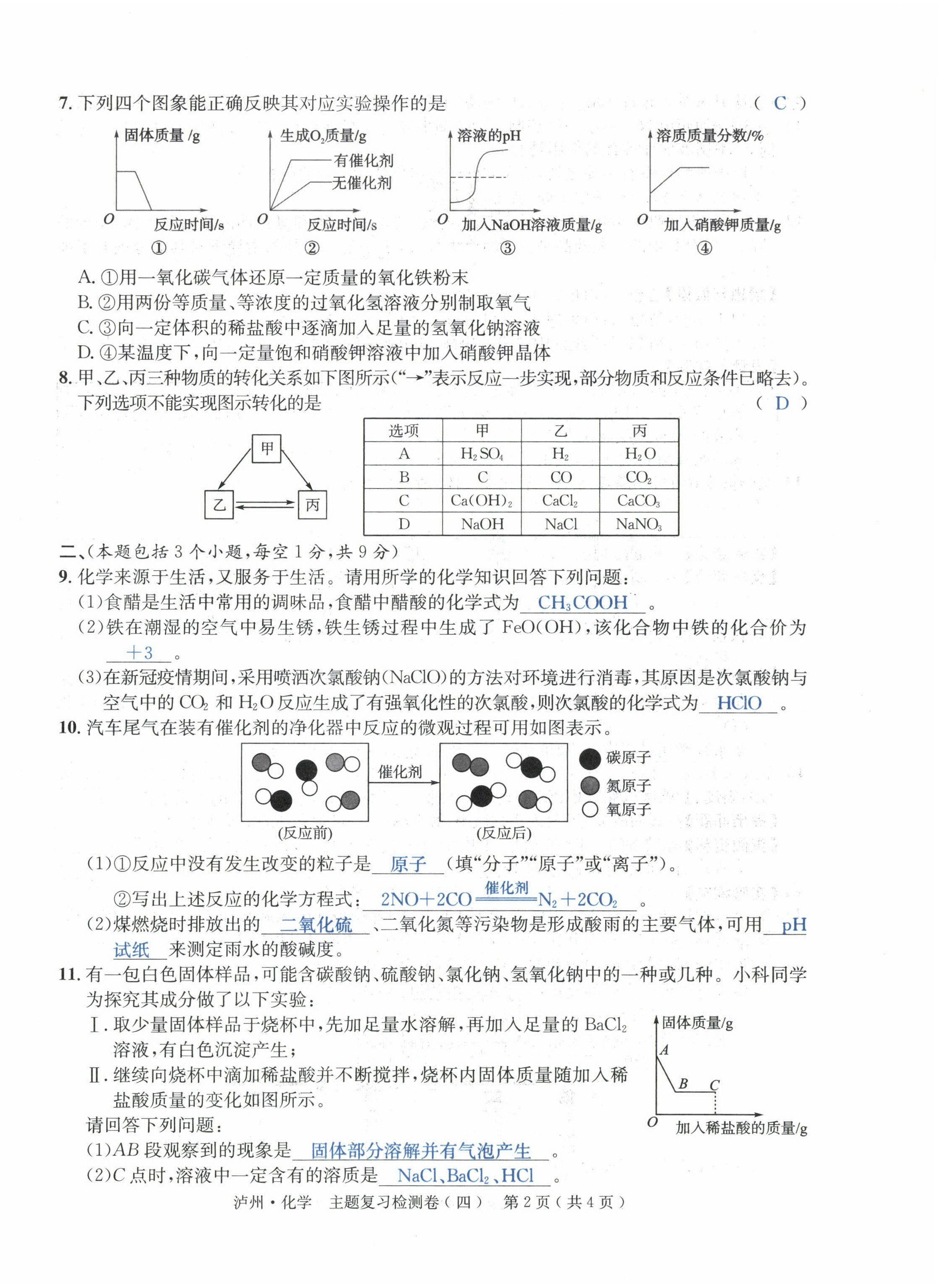 2022年国华考试中考总动员化学泸州专版 第14页