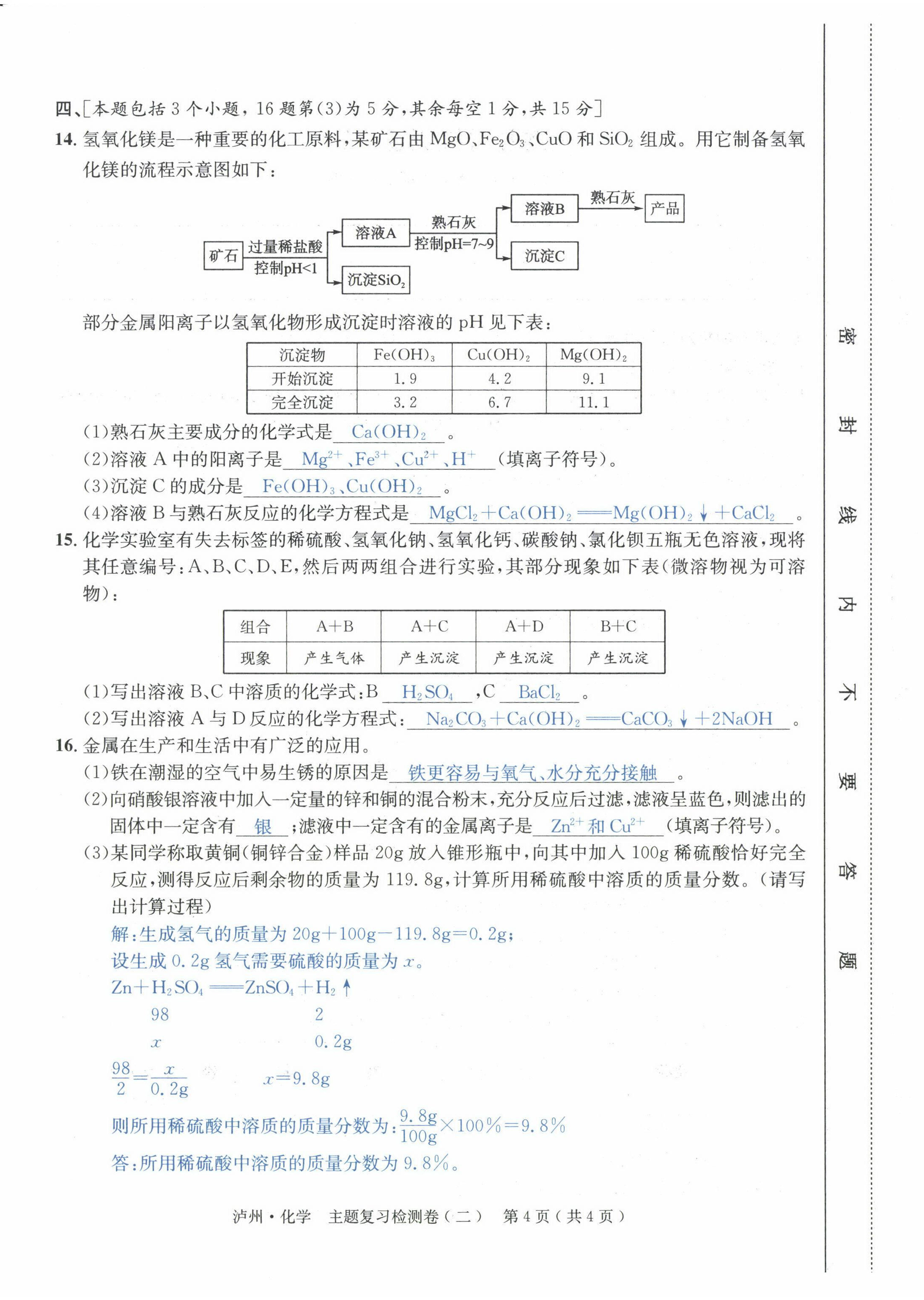 2022年国华考试中考总动员化学泸州专版 第8页