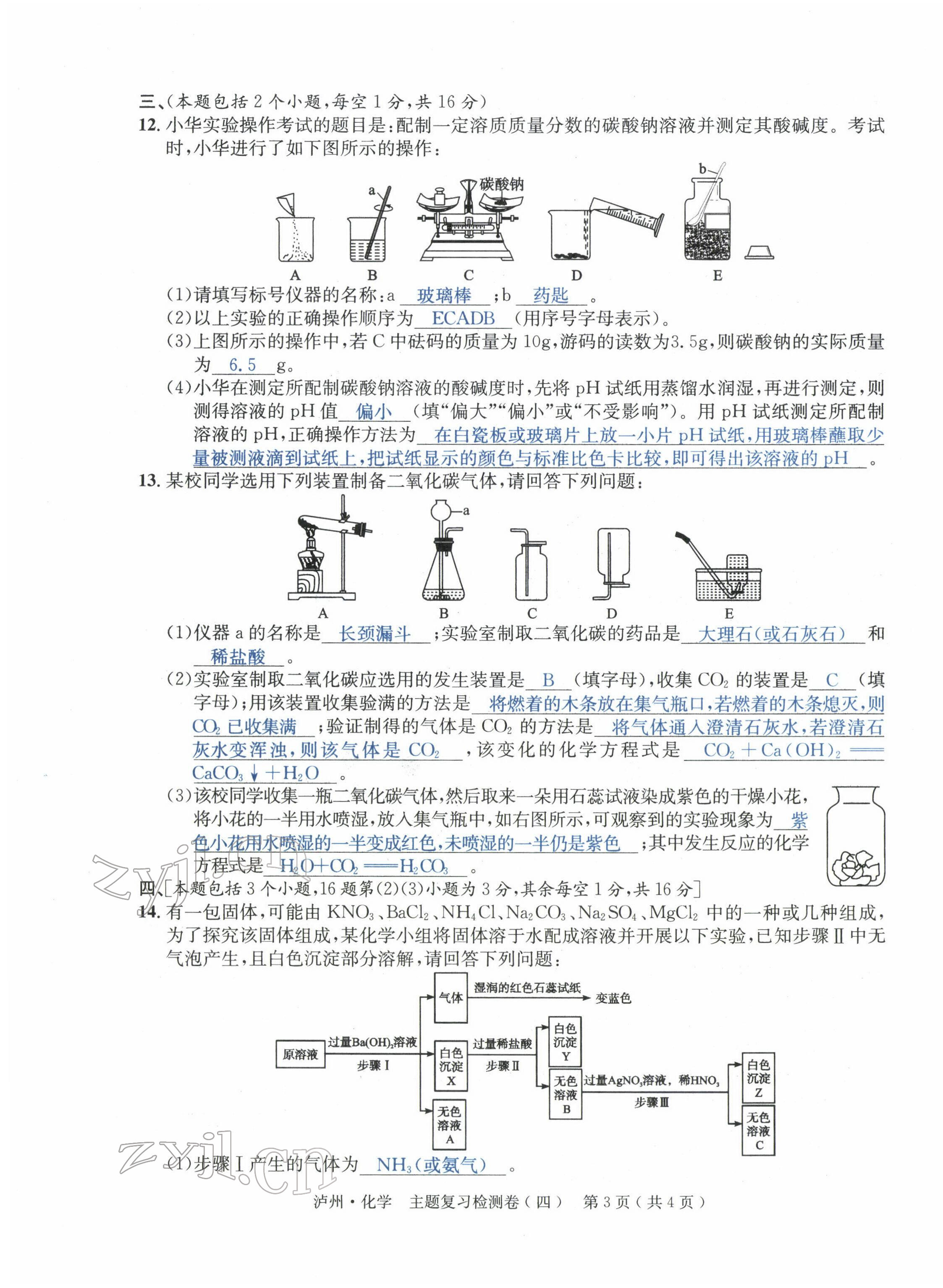 2022年国华考试中考总动员化学泸州专版 第15页