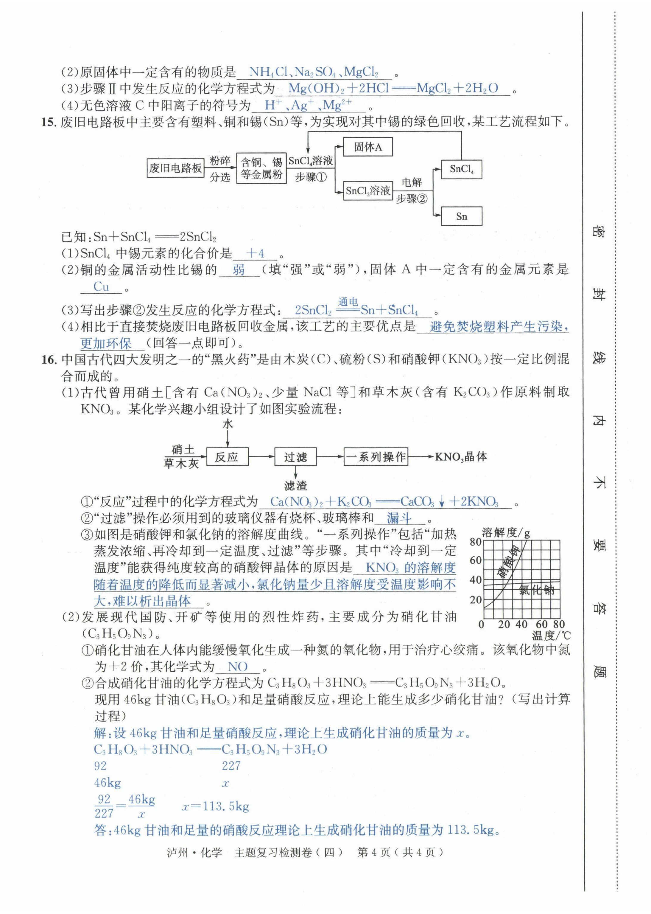 2022年国华考试中考总动员化学泸州专版 第16页