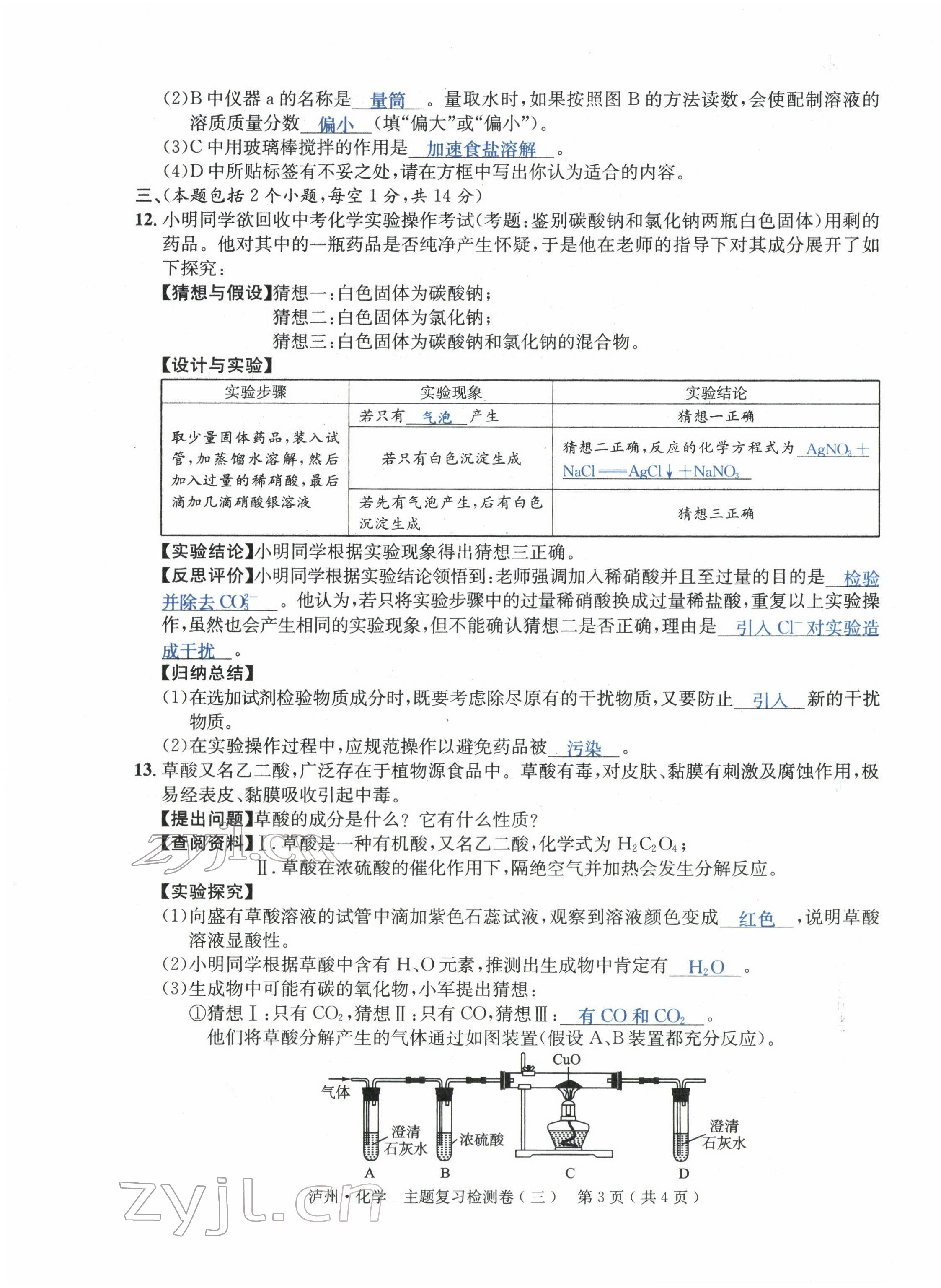 2022年国华考试中考总动员化学泸州专版 第11页