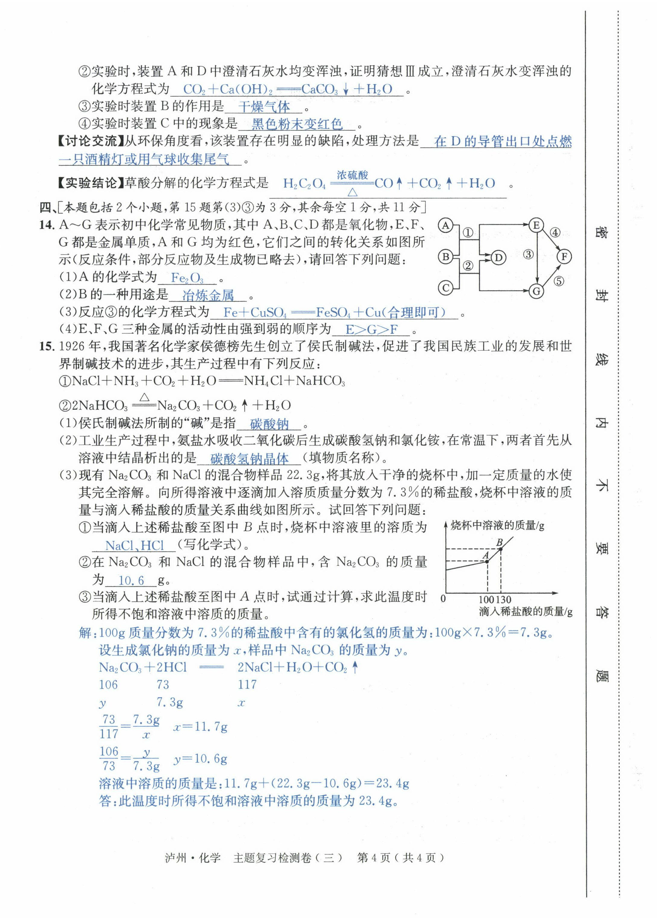 2022年国华考试中考总动员化学泸州专版 第12页