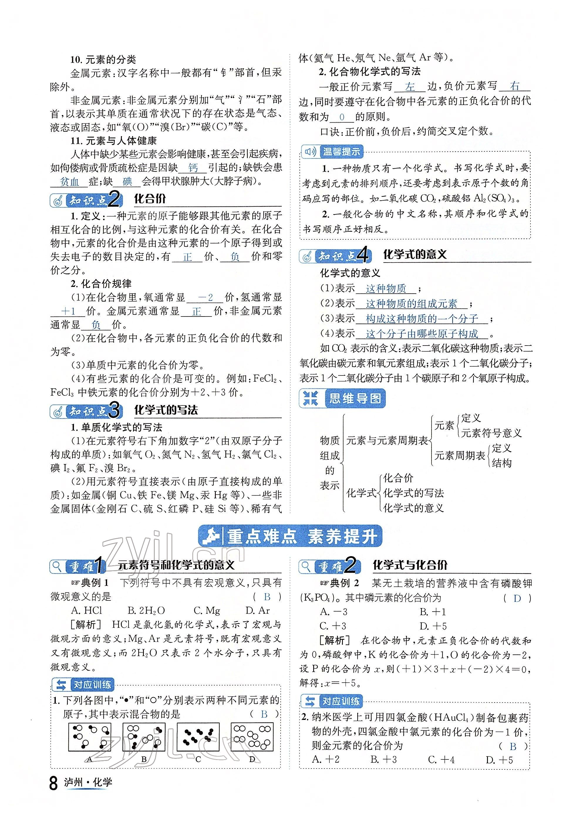 2022年国华考试中考总动员化学泸州专版 参考答案第8页