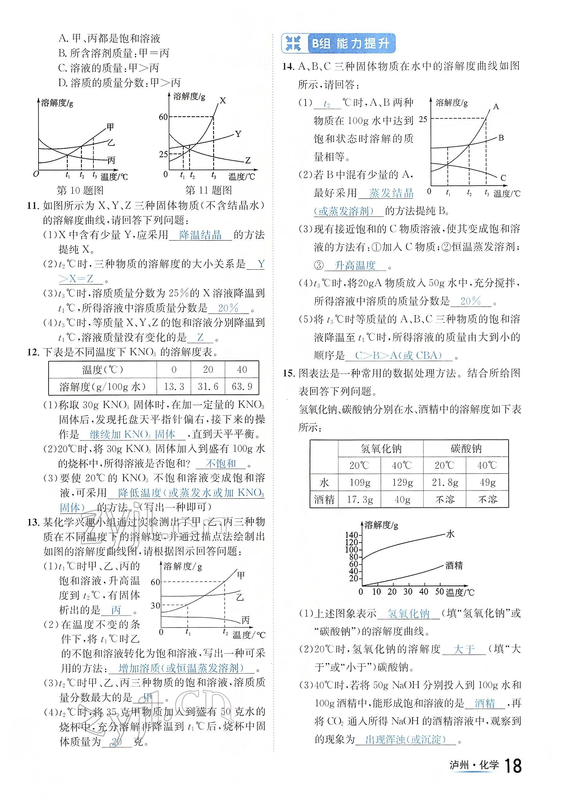 2022年国华考试中考总动员化学泸州专版 参考答案第18页