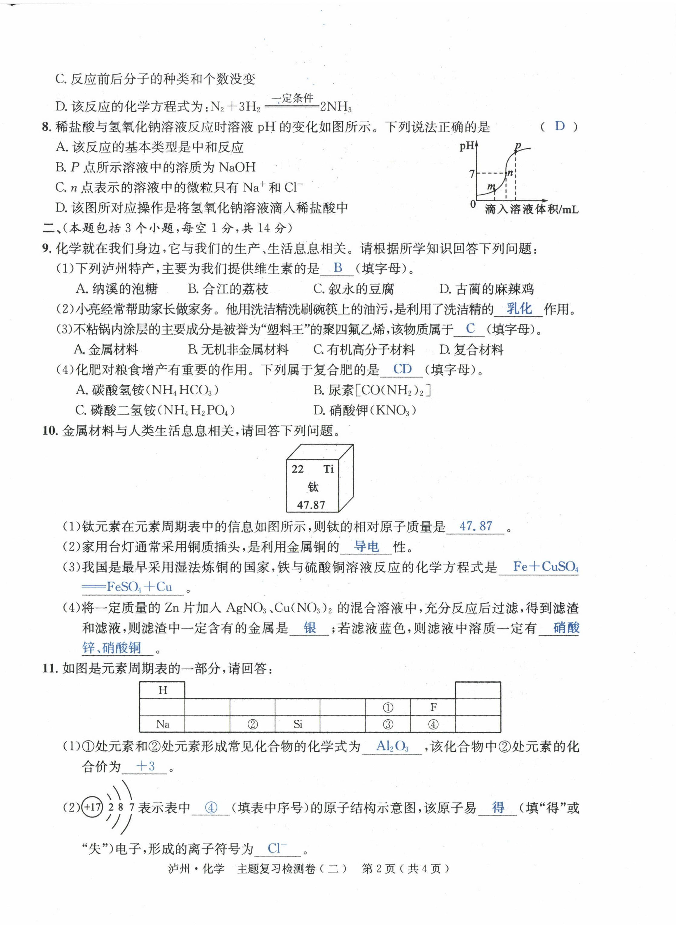 2022年国华考试中考总动员化学泸州专版 第6页