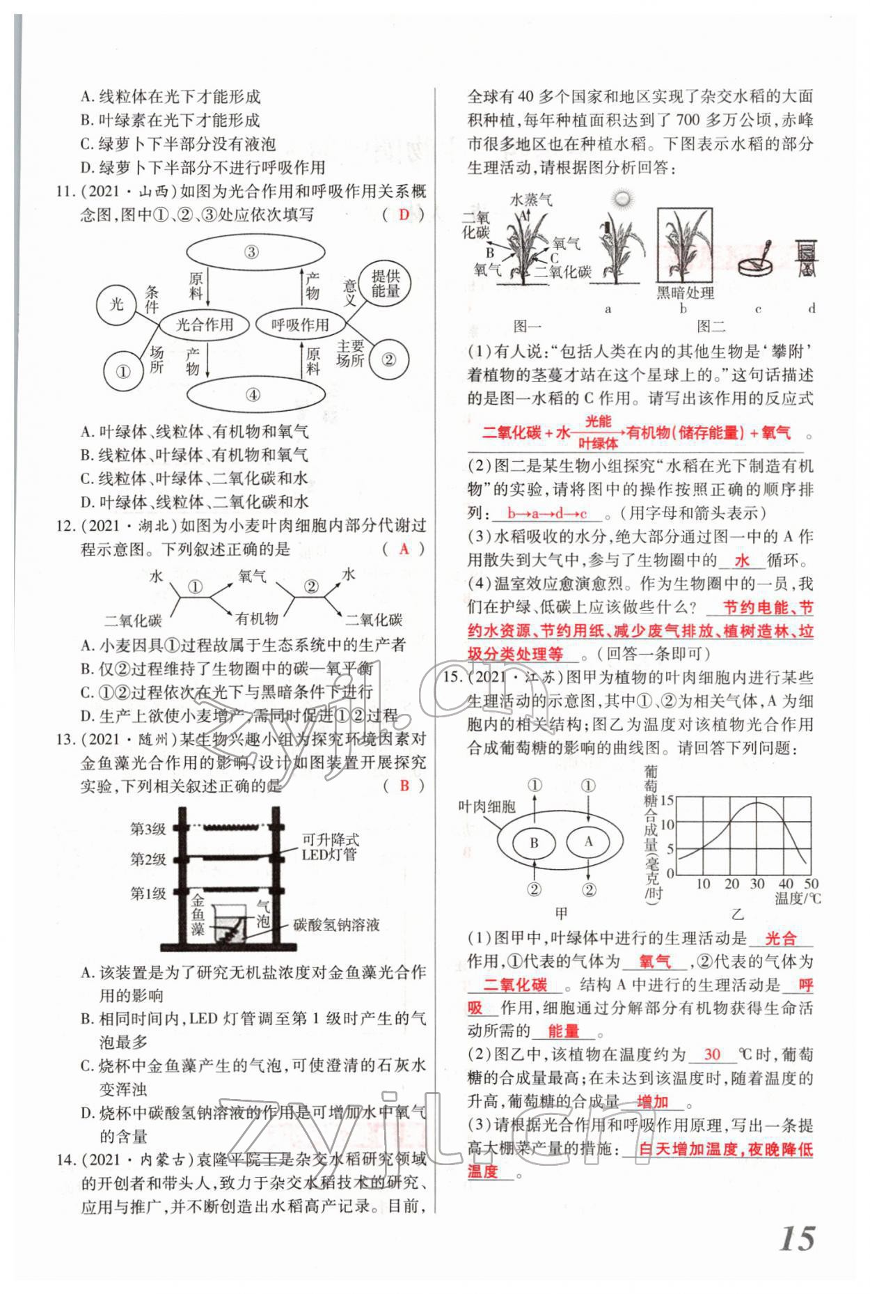 2022年新思路黑龍江教育出版社生物河南專版 參考答案第31頁