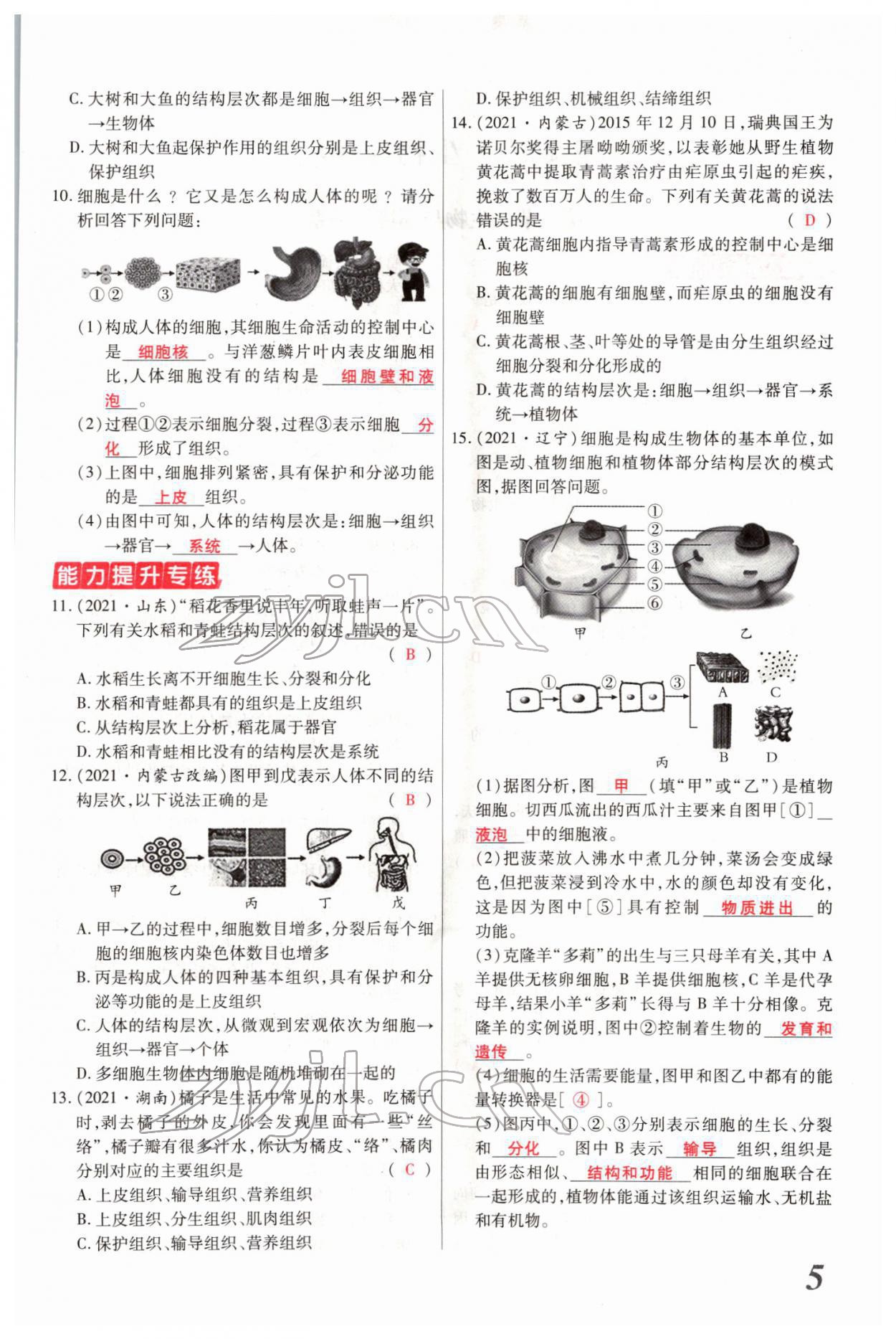 2022年新思路黑龍江教育出版社生物河南專版 參考答案第11頁(yè)