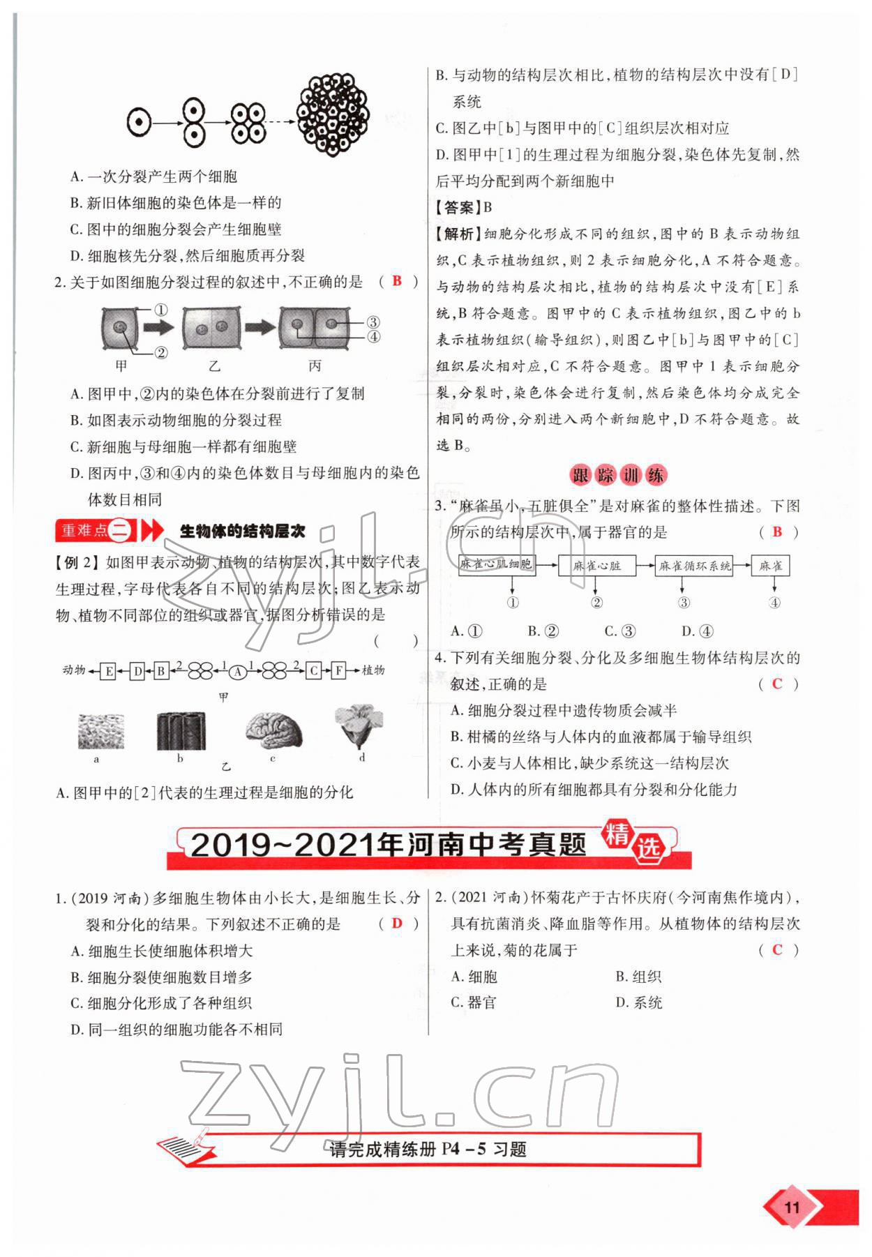 2022年新思路黑龍江教育出版社生物河南專版 參考答案第18頁