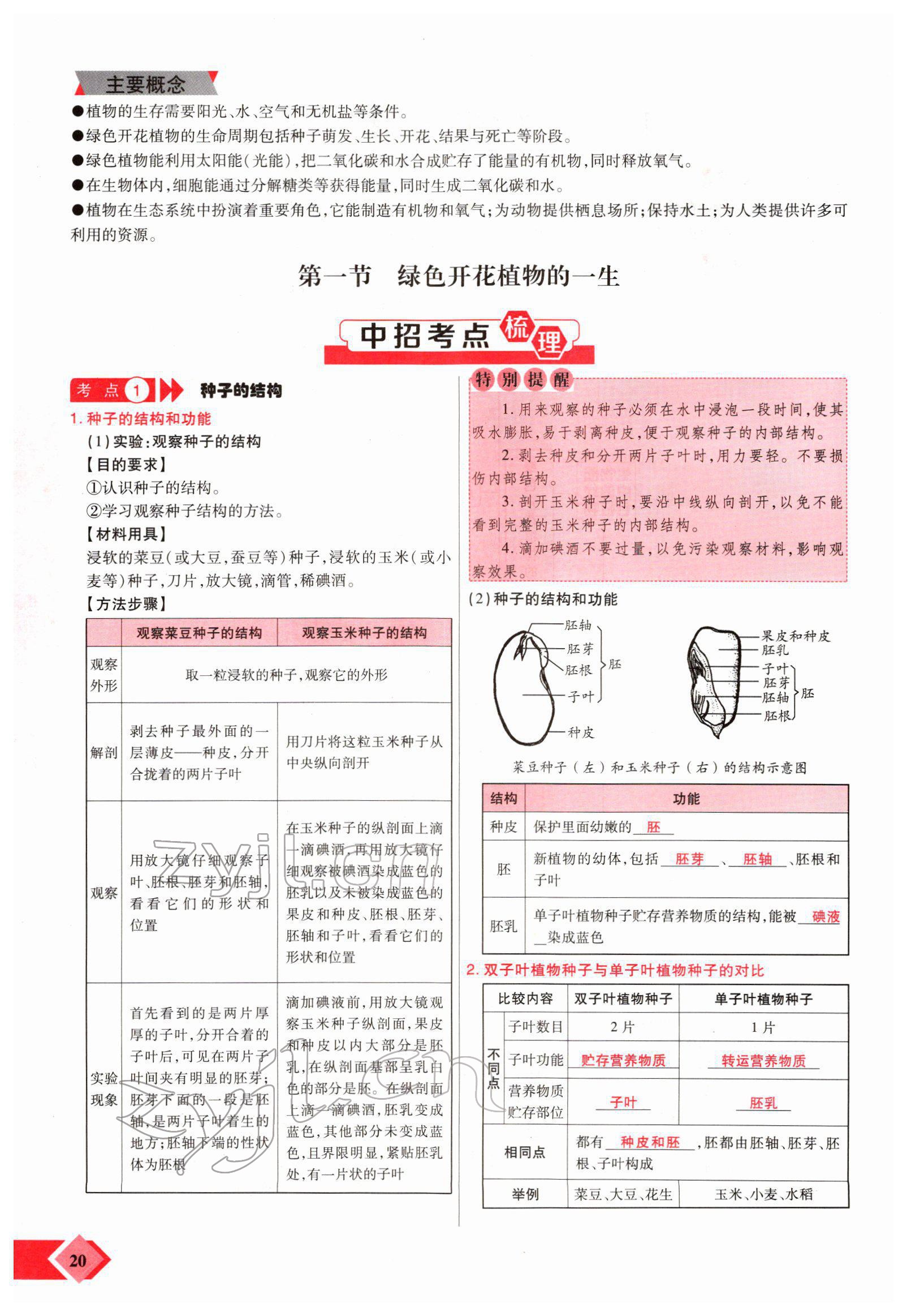 2022年新思路黑龍江教育出版社生物河南專版 參考答案第36頁