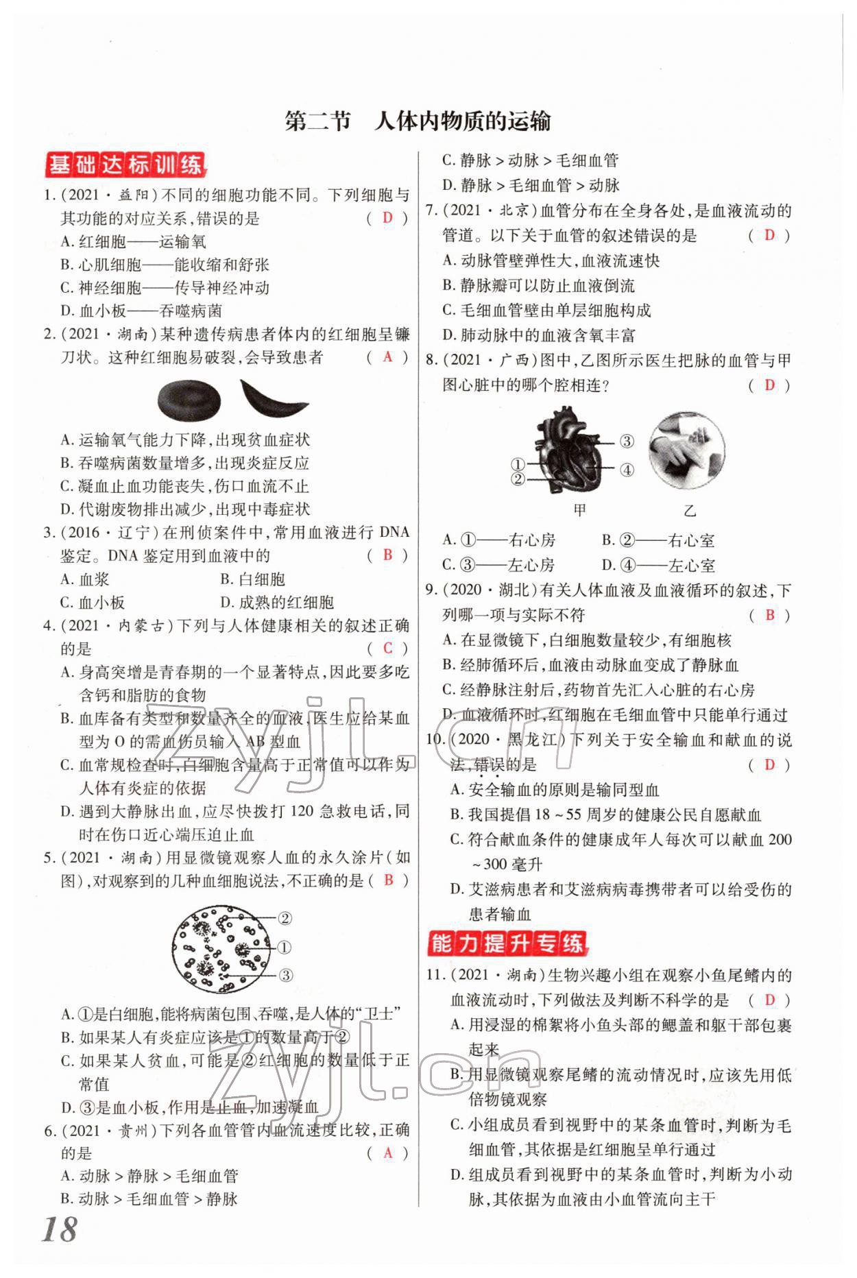 2022年新思路黑龍江教育出版社生物河南專版 參考答案第37頁(yè)