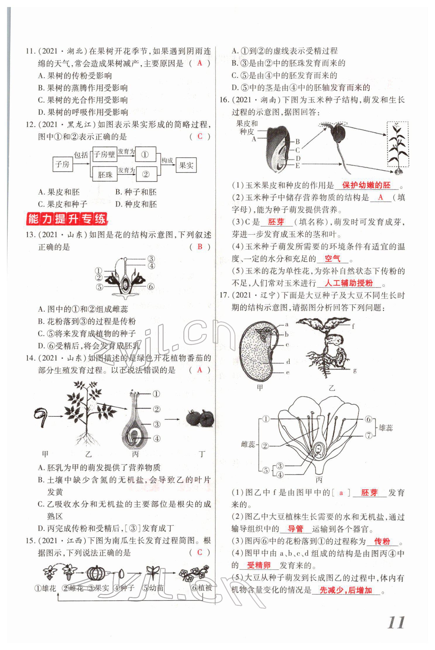 2022年新思路黑龍江教育出版社生物河南專版 參考答案第23頁