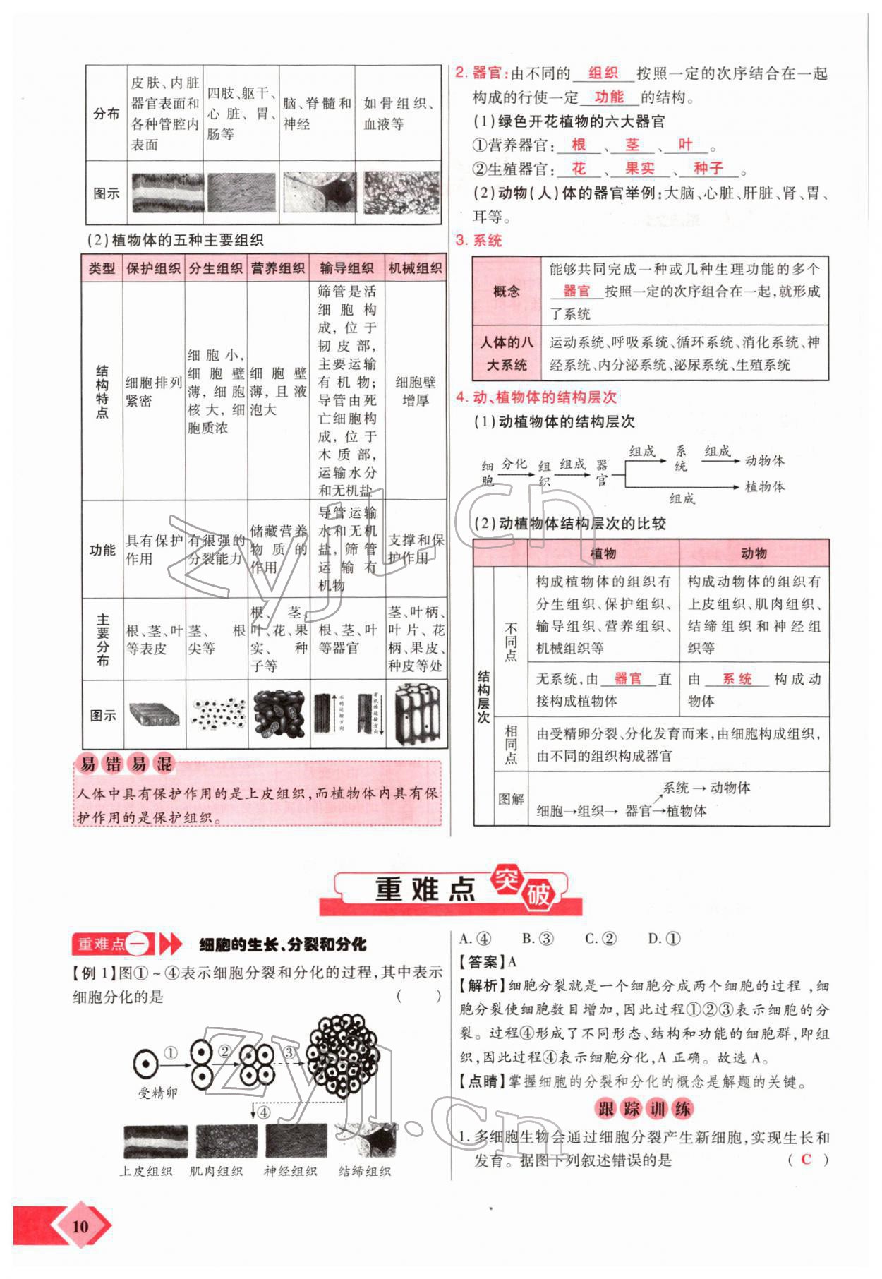 2022年新思路黑龍江教育出版社生物河南專版 參考答案第16頁