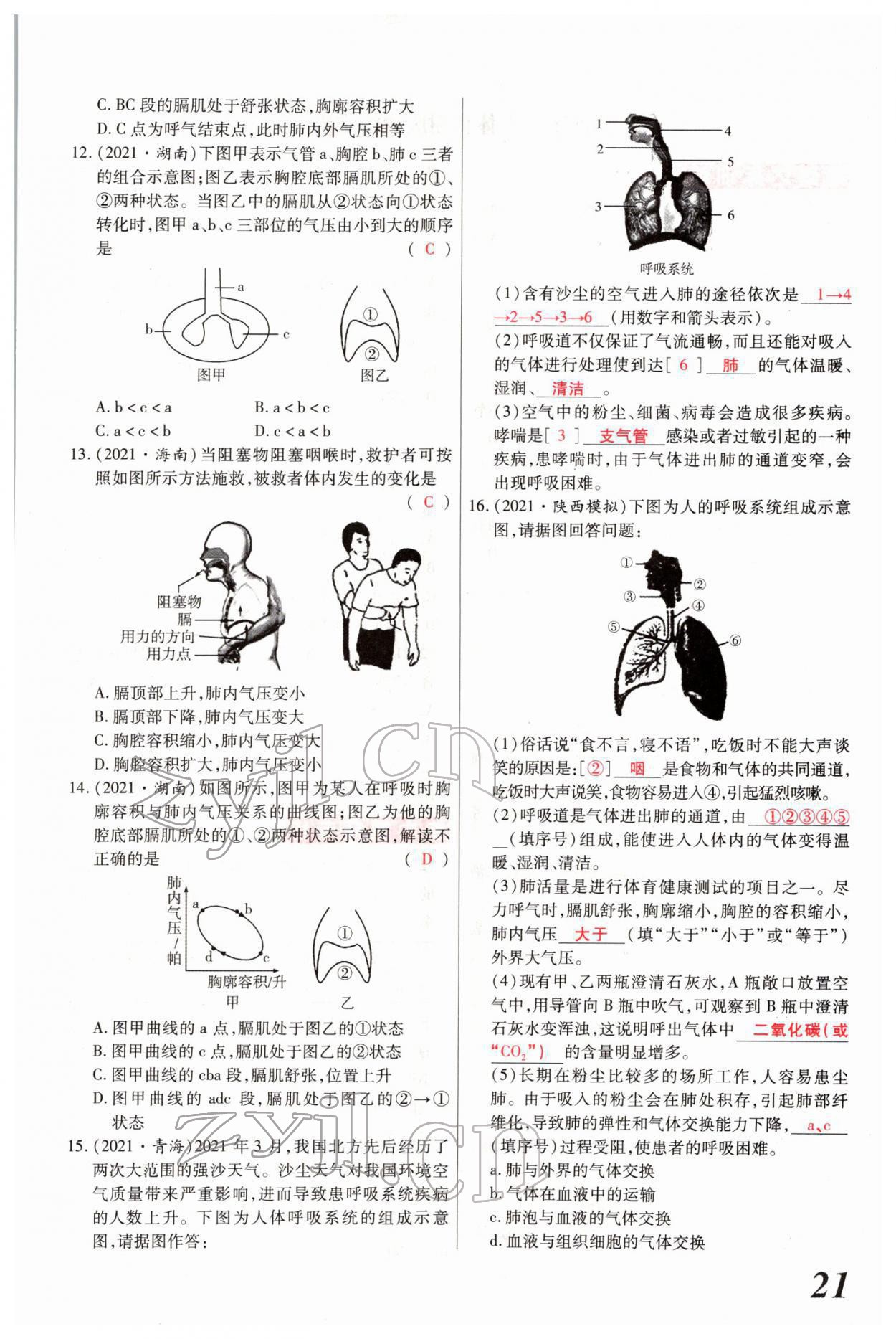 2022年新思路黑龍江教育出版社生物河南專版 參考答案第43頁(yè)