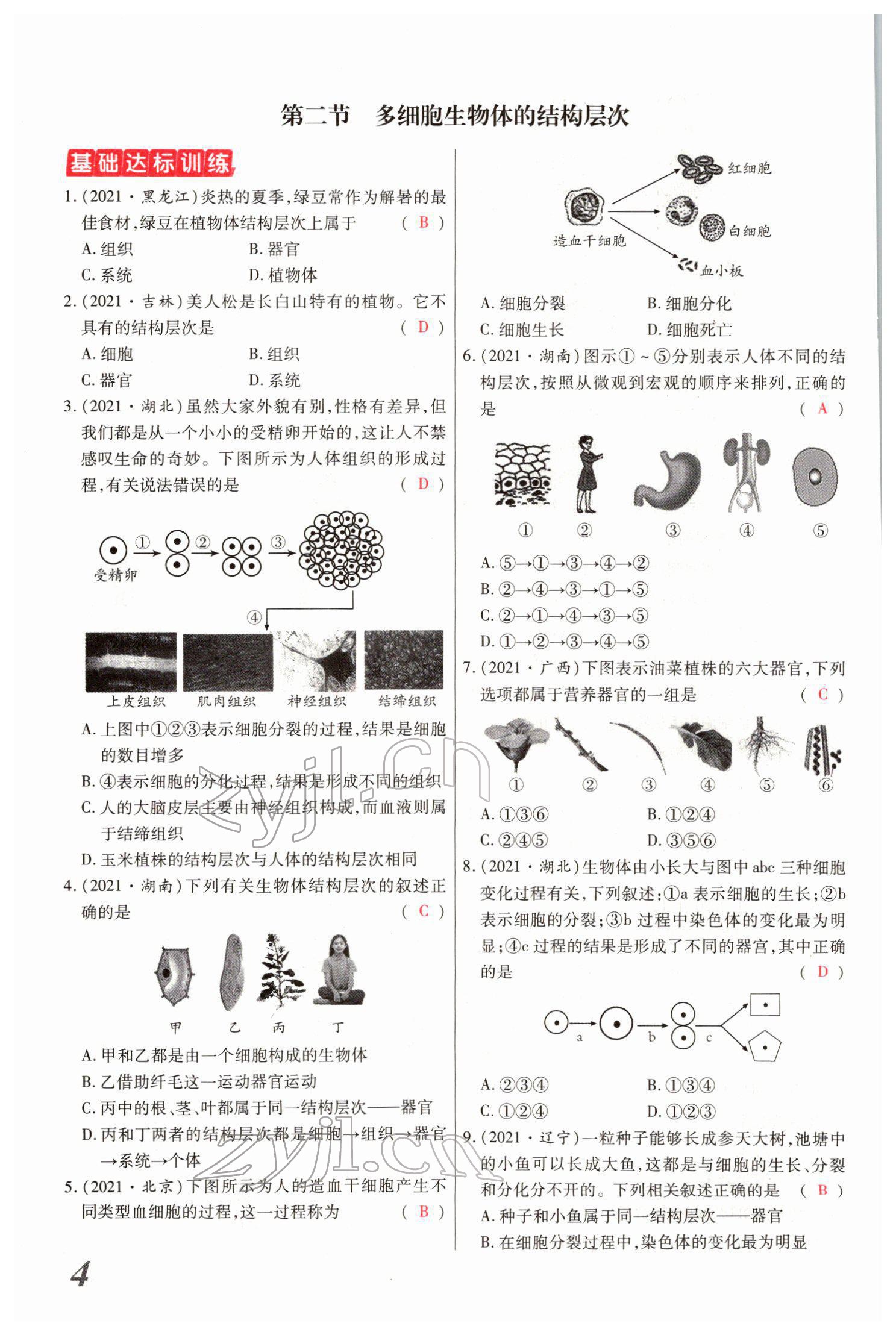 2022年新思路黑龍江教育出版社生物河南專版 參考答案第9頁