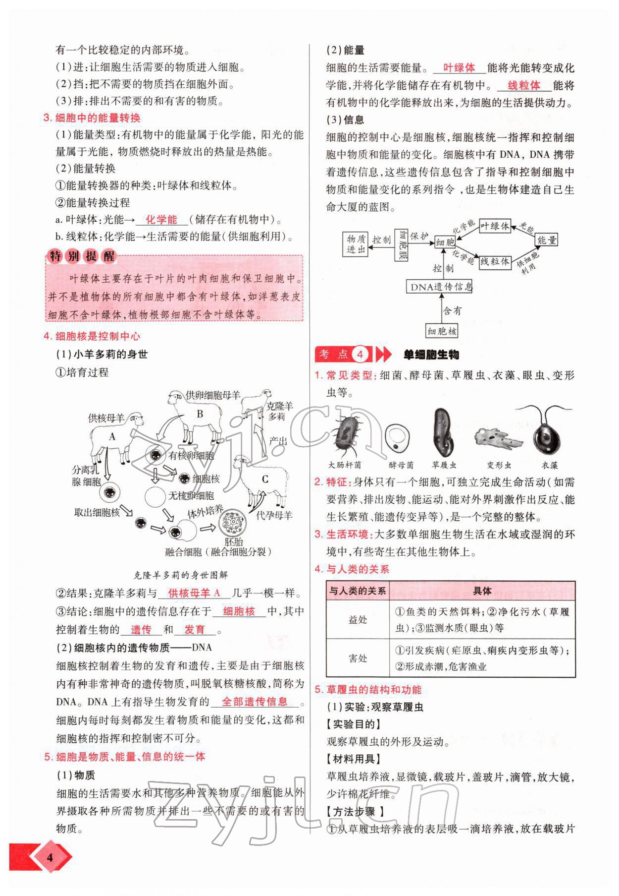 2022年新思路黑龍江教育出版社生物河南專版 參考答案第4頁