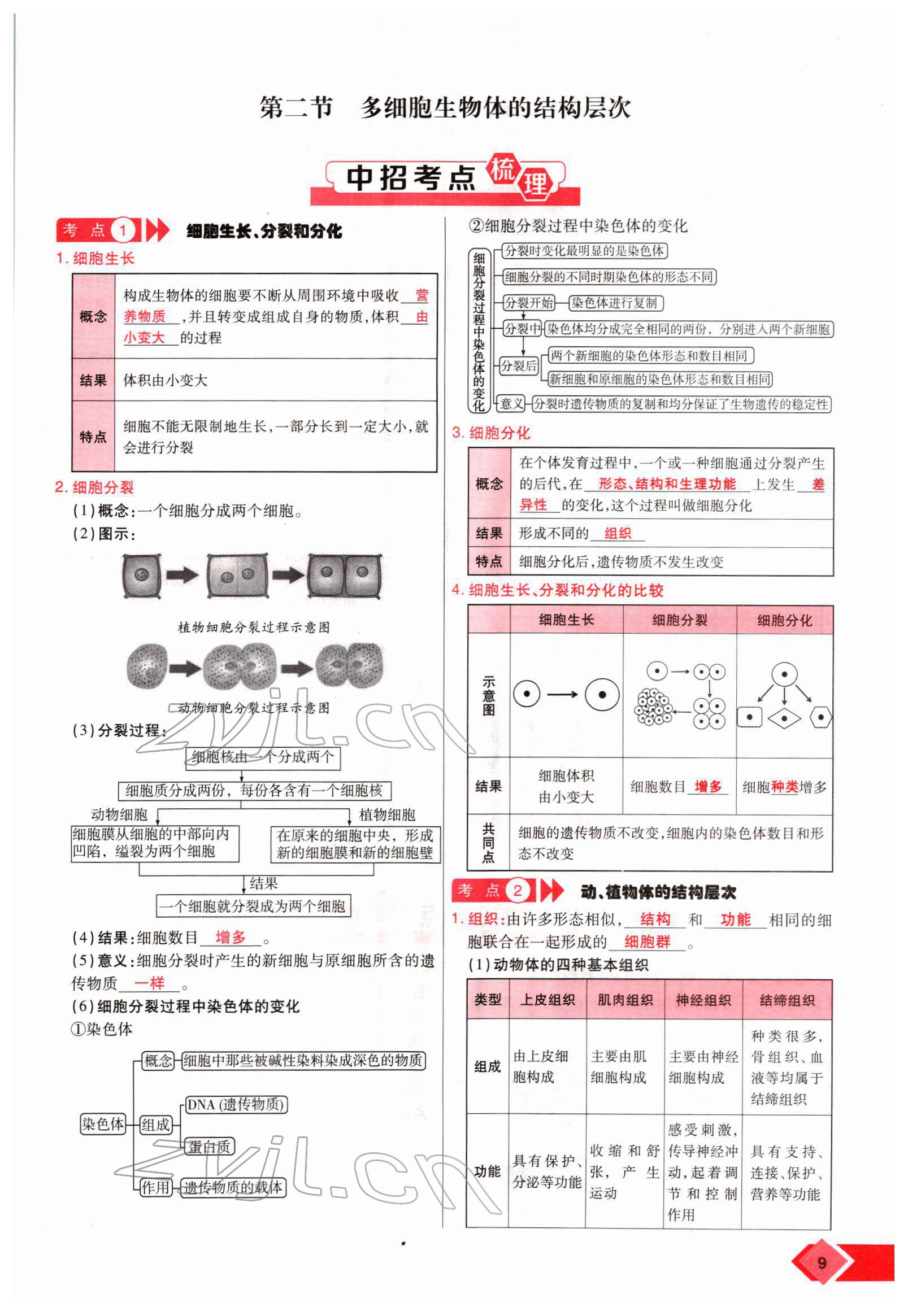 2022年新思路黑龍江教育出版社生物河南專版 參考答案第14頁(yè)