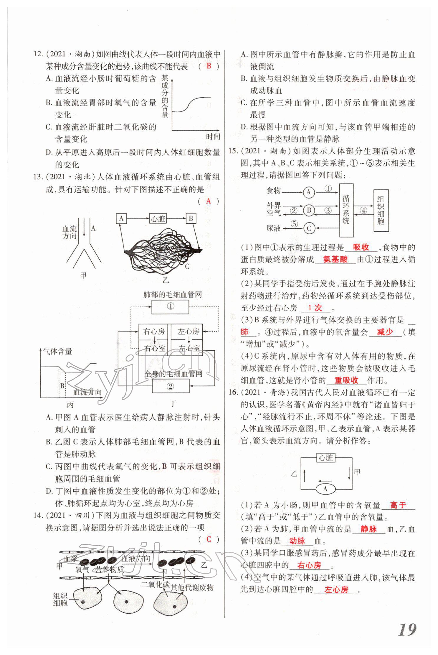 2022年新思路黑龍江教育出版社生物河南專版 參考答案第39頁