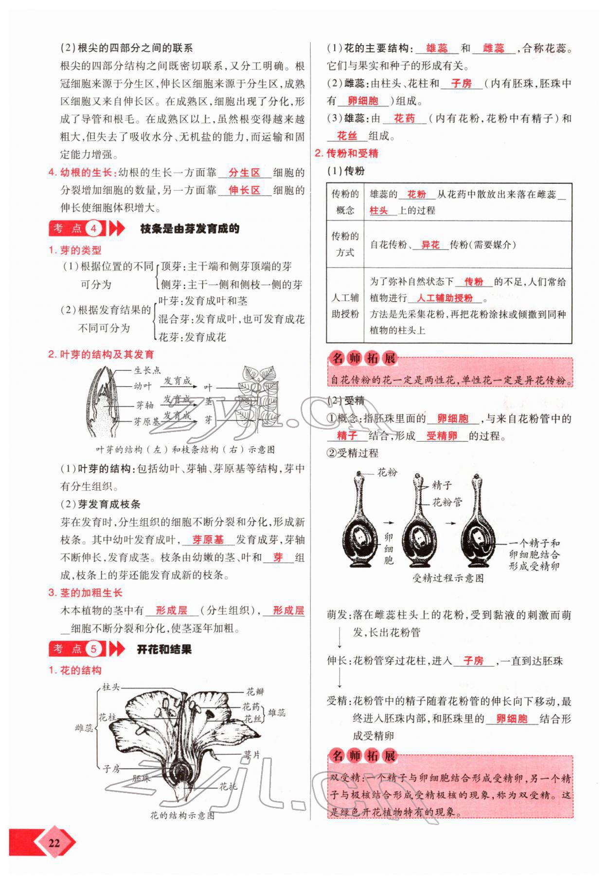 2022年新思路黑龍江教育出版社生物河南專版 參考答案第40頁