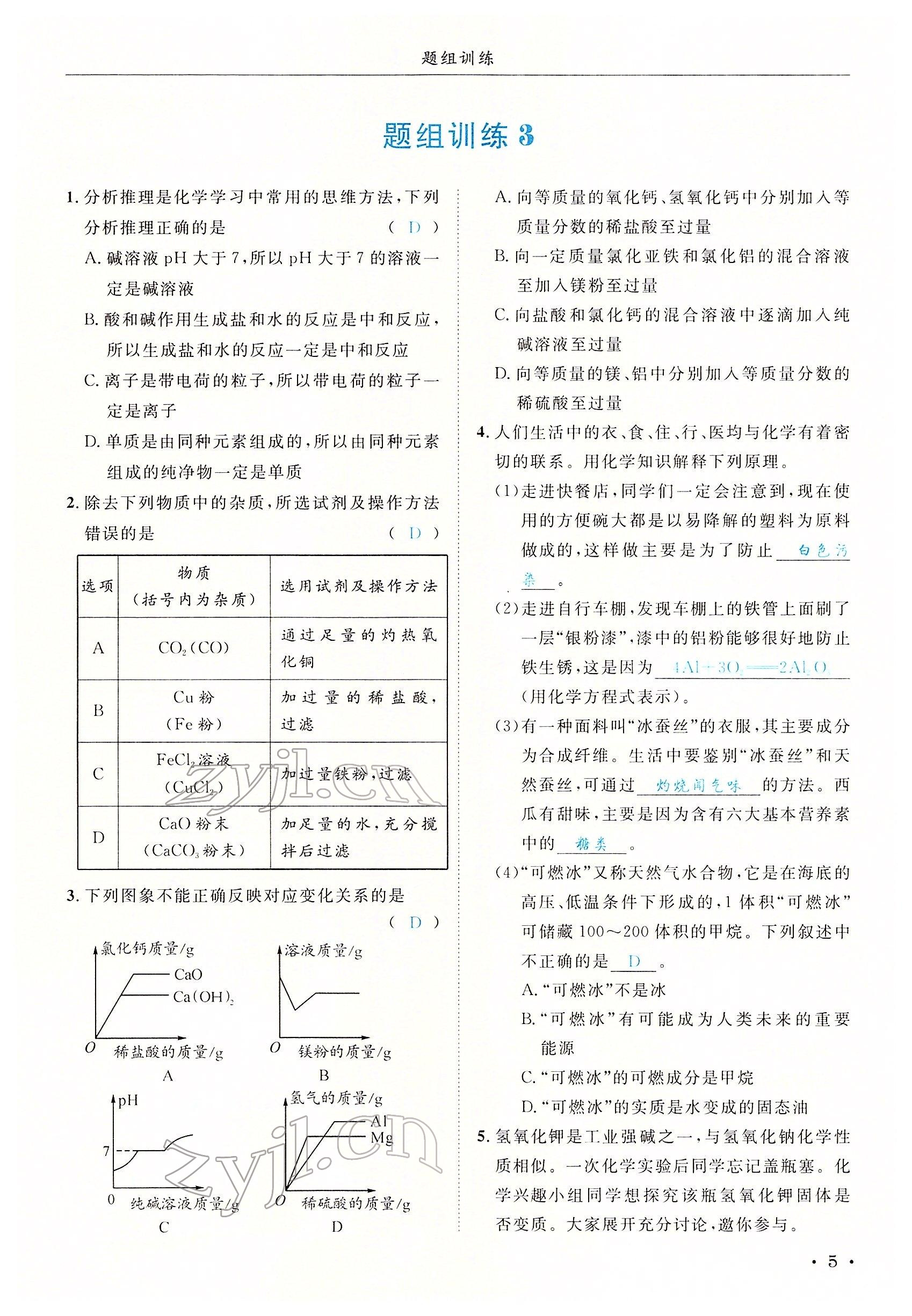 2022年决胜中考化学南充专版 参考答案第15页