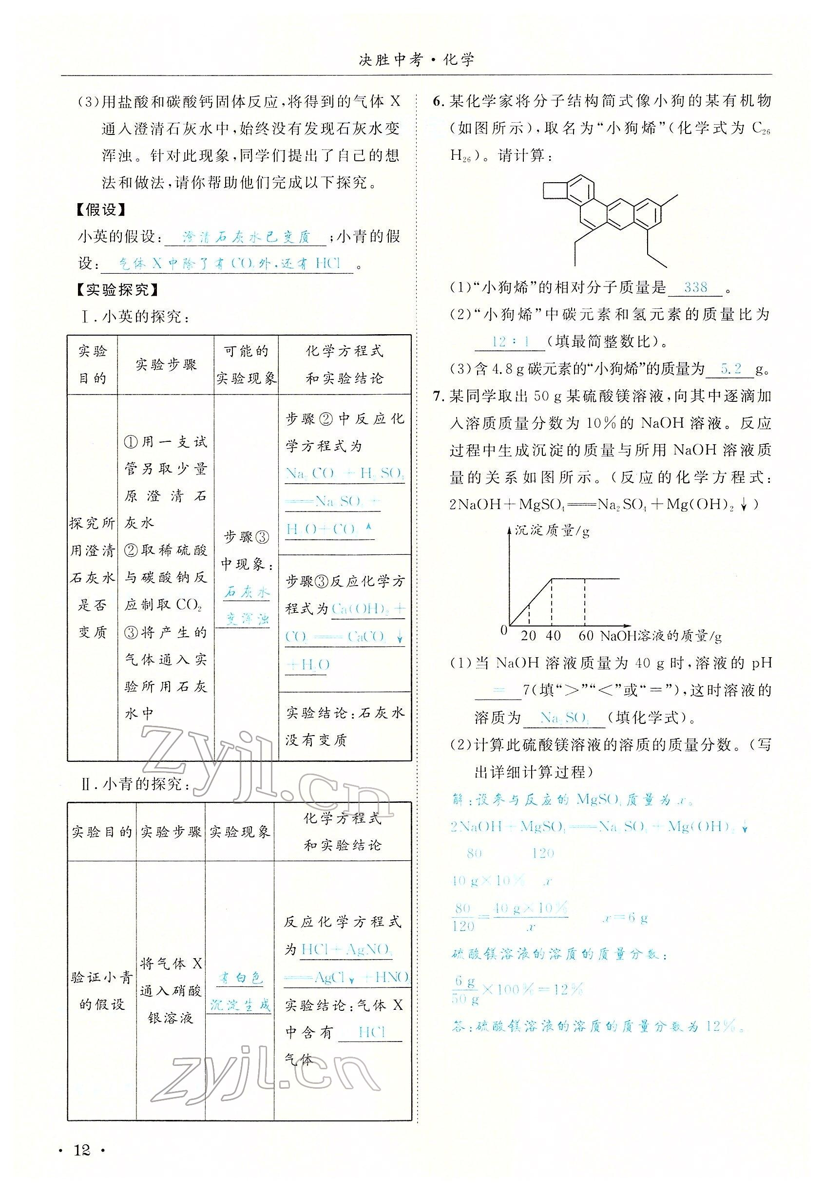 2022年決勝中考化學南充專版 參考答案第47頁