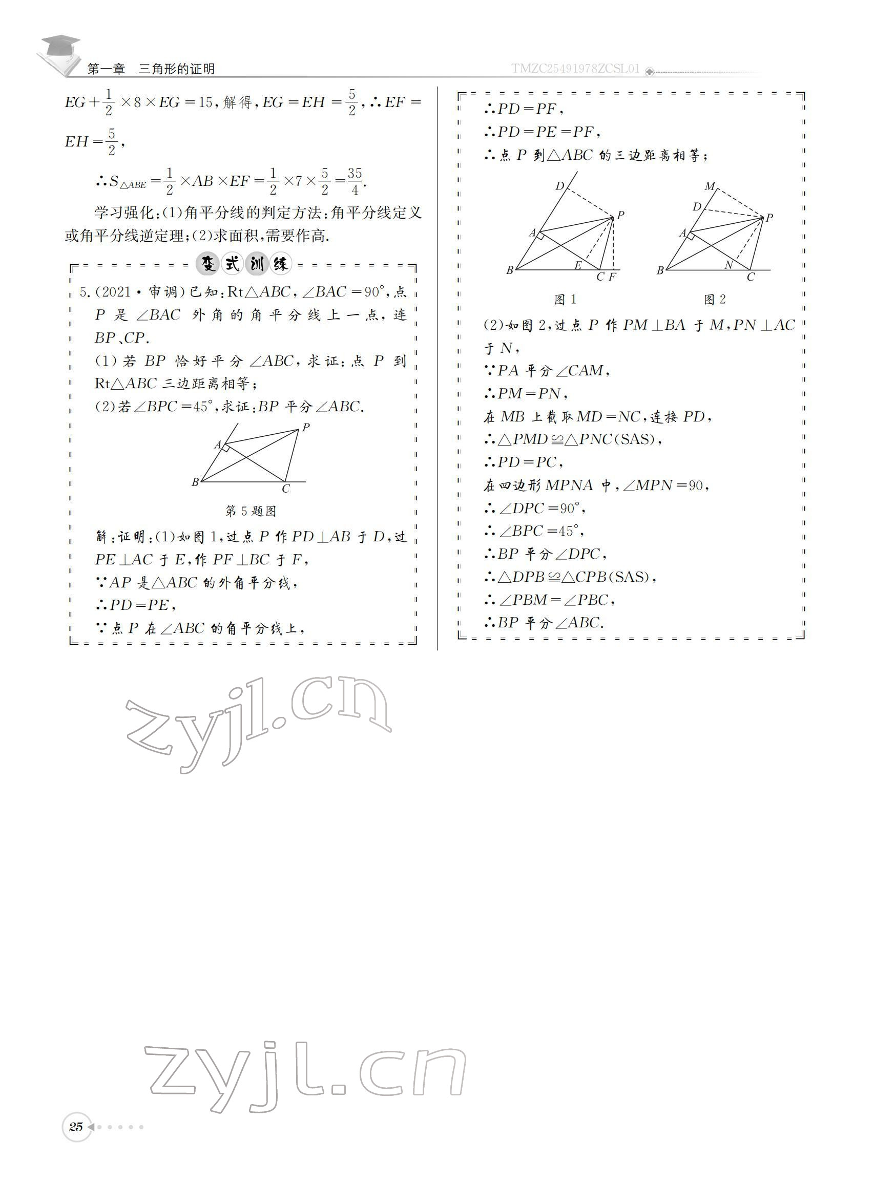 2022年初中數(shù)學每日核心導學八年級下冊北師大版 參考答案第25頁