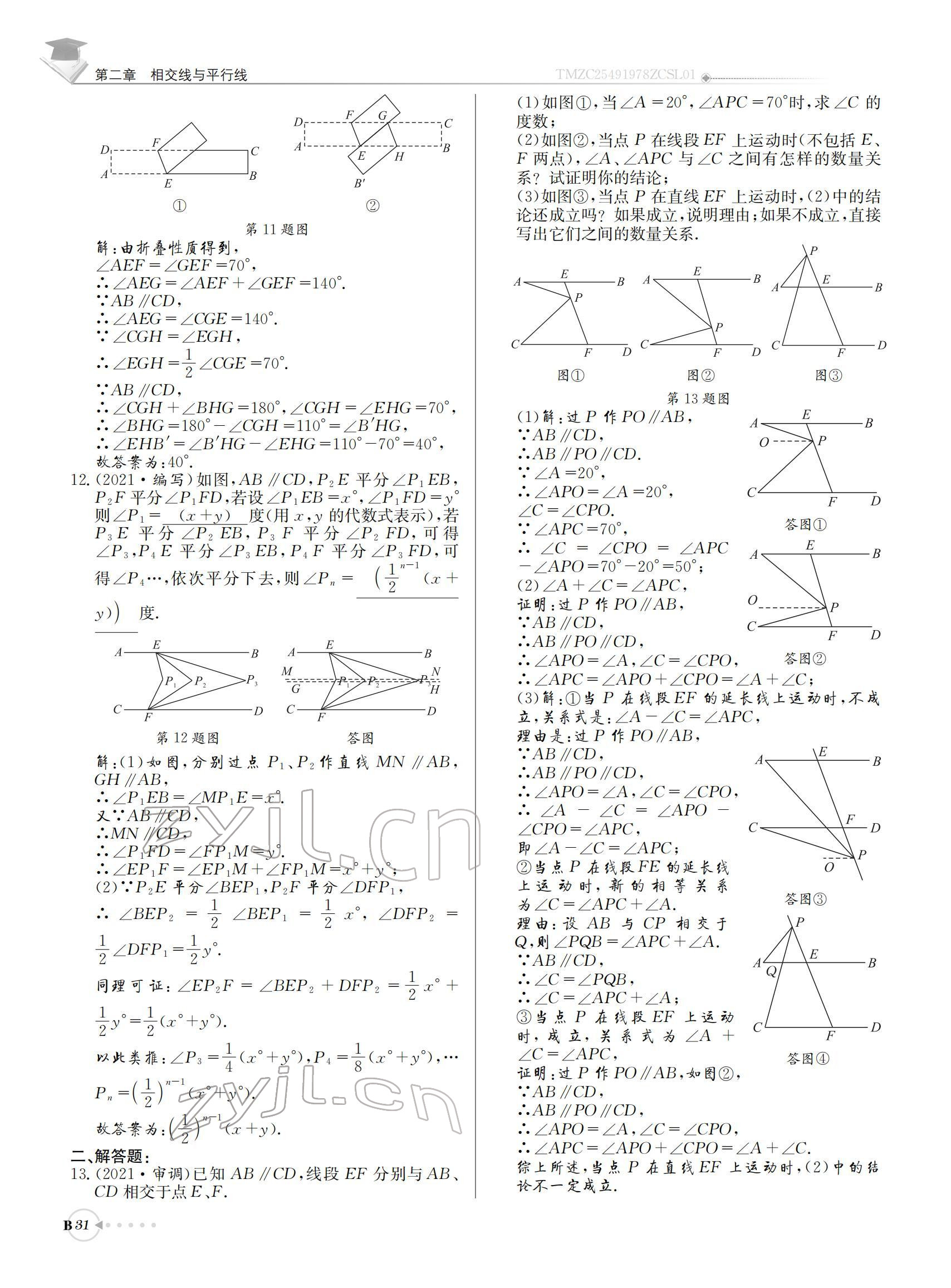 2022年初中数学每日核心导学七年级下册北师大版 参考答案第31页