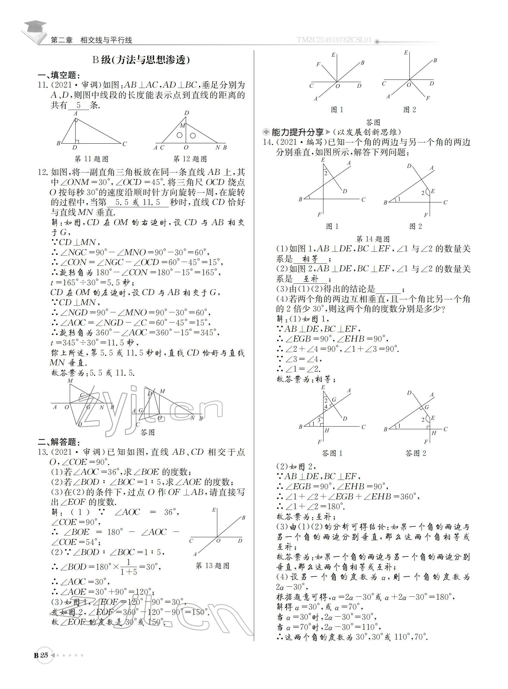 2022年初中数学每日核心导学七年级下册北师大版 参考答案第25页