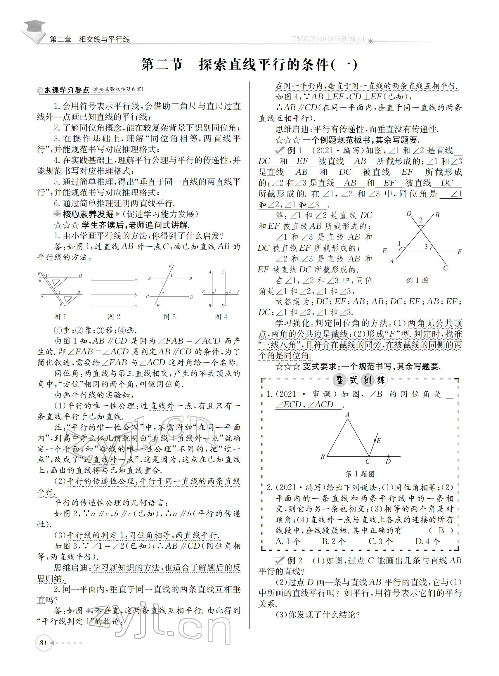 2022年初中数学每日核心导学七年级下册北师大版 参考答案第31页