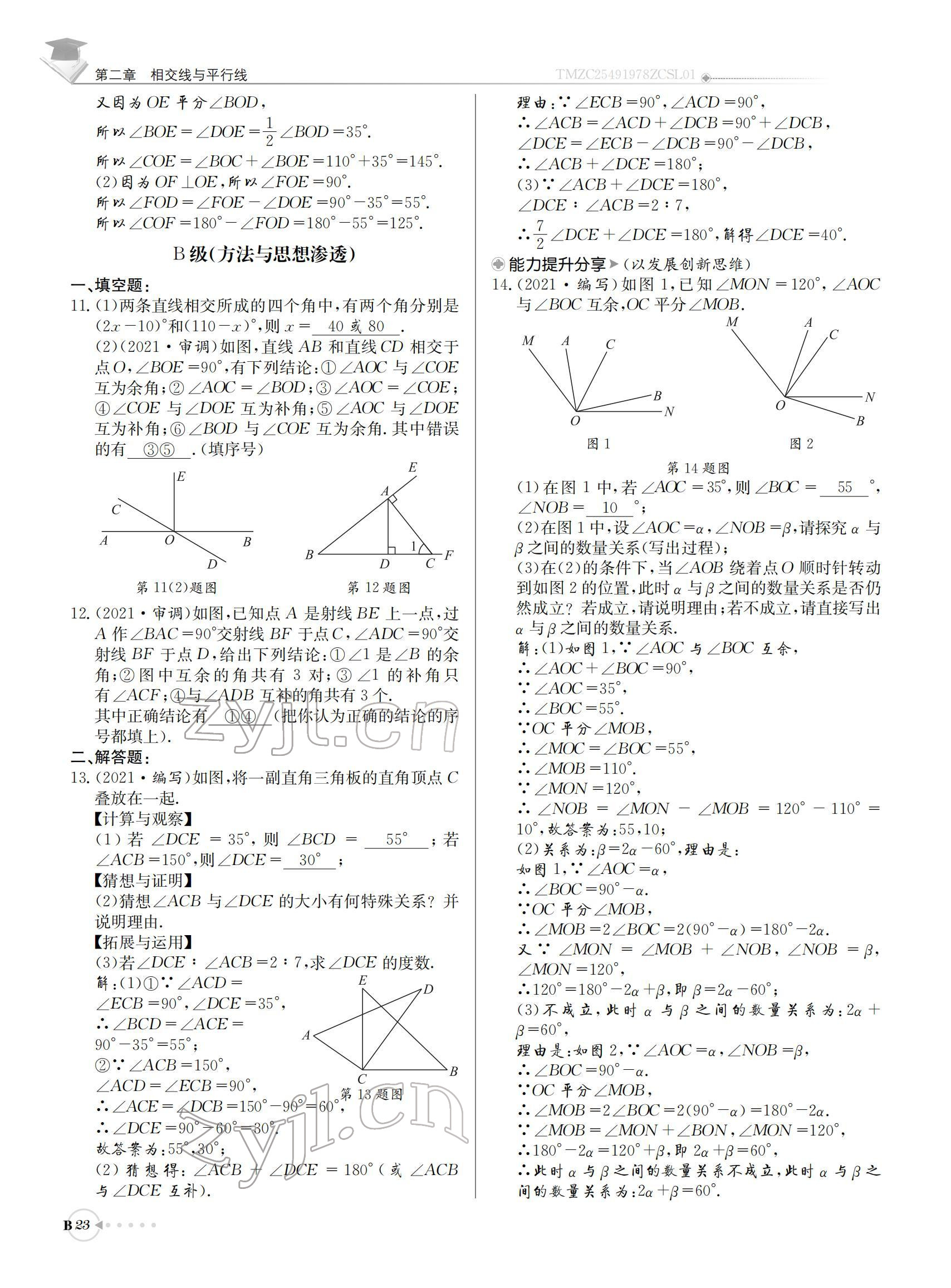 2022年初中数学每日核心导学七年级下册北师大版 参考答案第23页