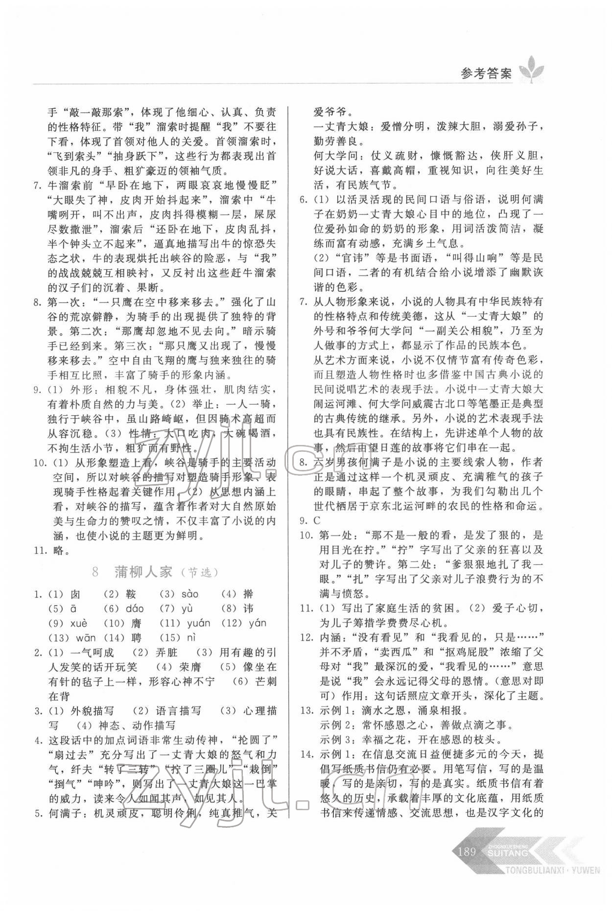 2022年随堂同步练习九年级语文下册人教版 第5页