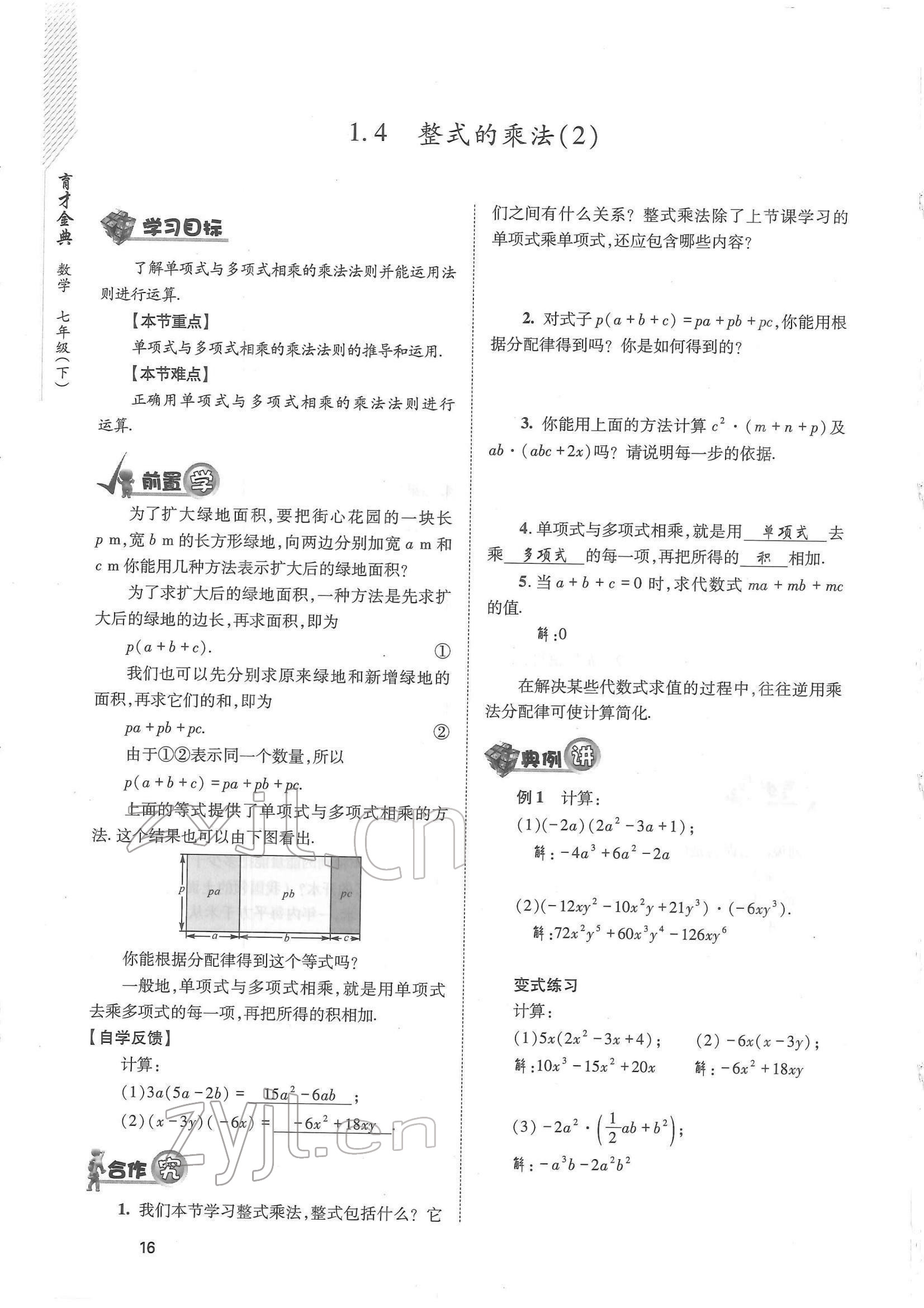 2022年育才金典七年級數(shù)學下冊北師大版 參考答案第16頁