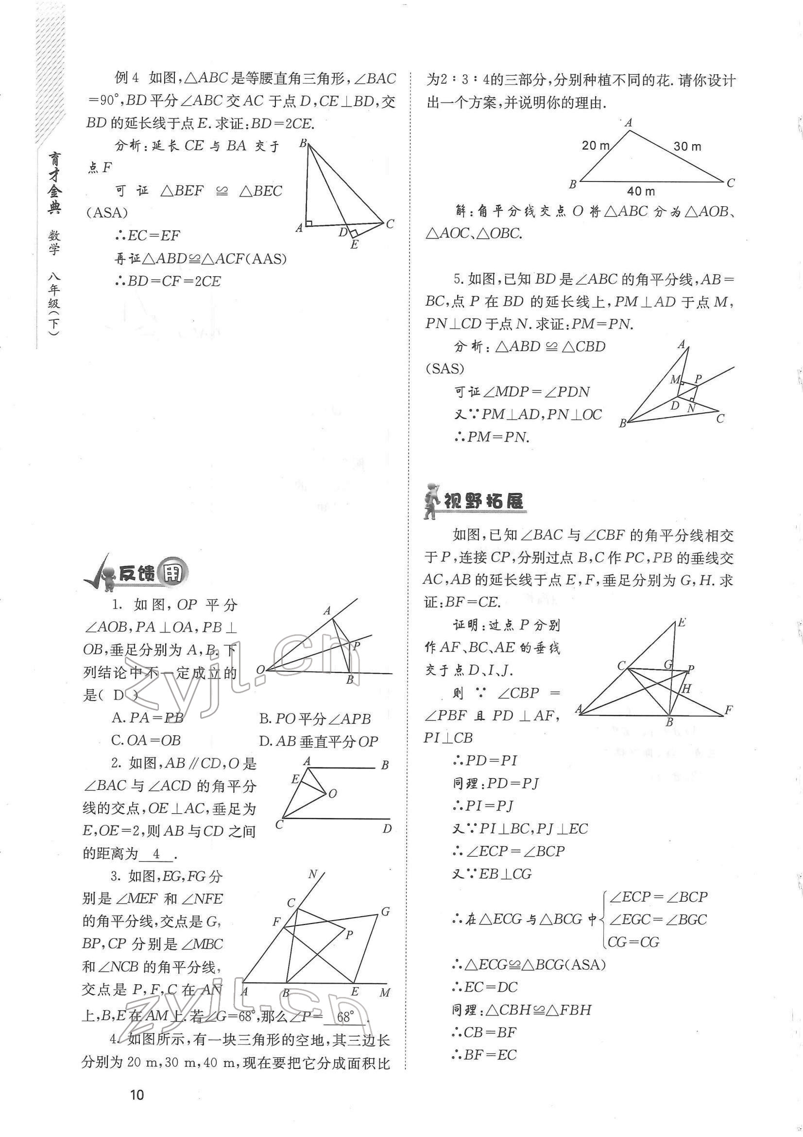 2022年育才金典八年級(jí)數(shù)學(xué)下冊(cè)北師大版 參考答案第10頁(yè)