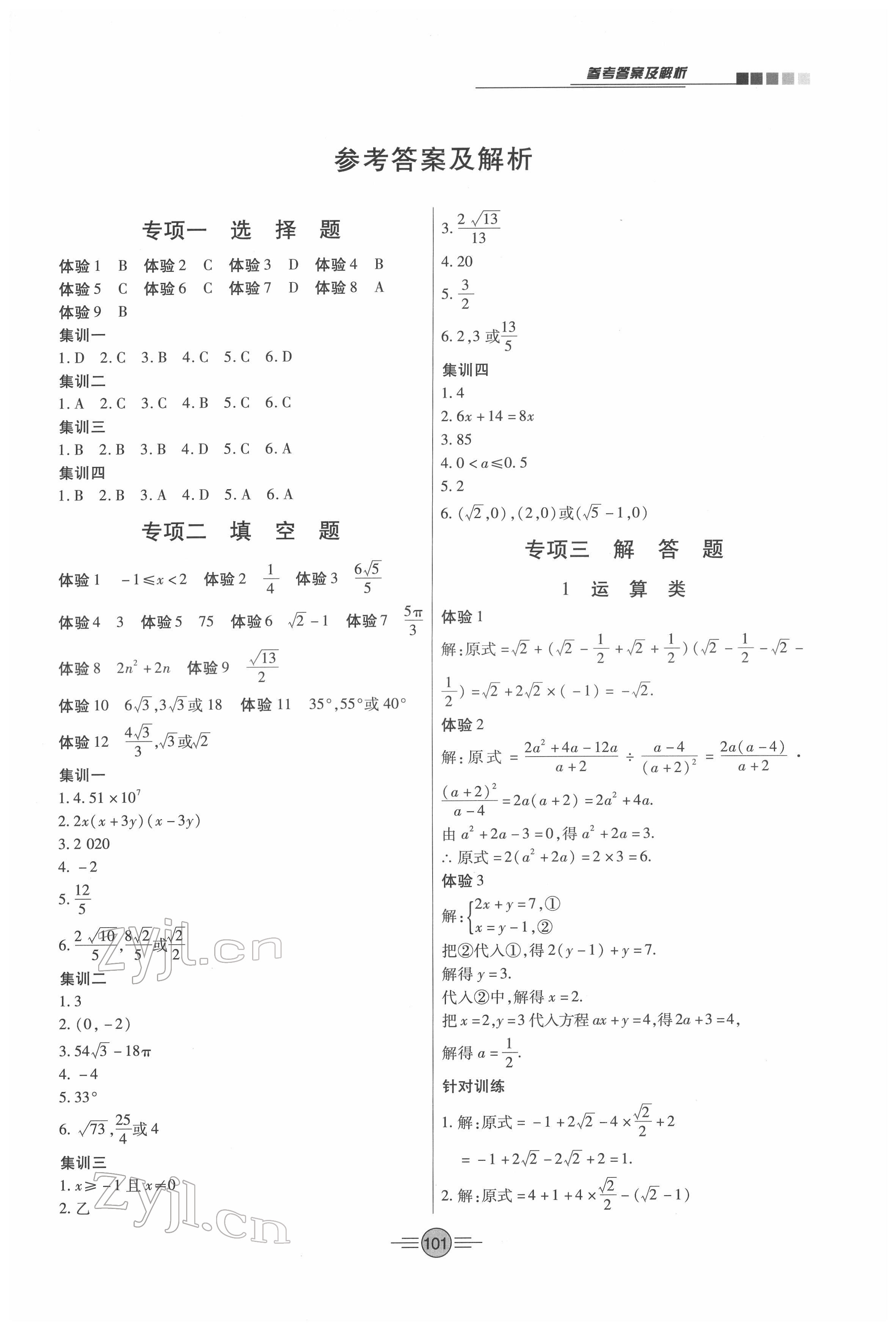 2022年專項(xiàng)新評(píng)價(jià)中考二輪數(shù)學(xué)江西專版 第1頁