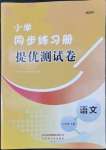 2022年伴你學同步練習冊提優(yōu)測試卷六年級語文下冊人教版