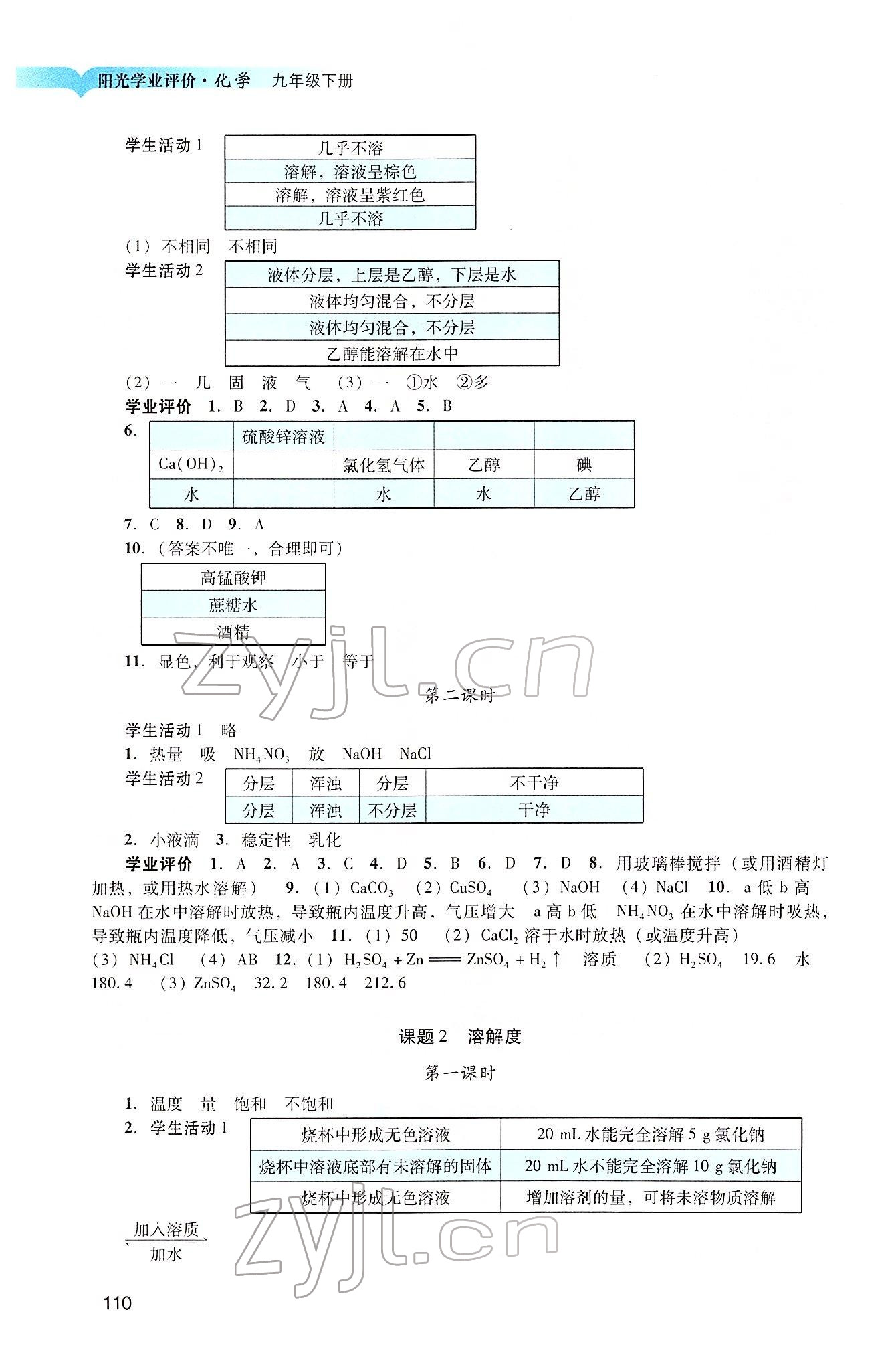 2022年陽光學(xué)業(yè)評(píng)價(jià)九年級(jí)化學(xué)下冊(cè)人教版 第4頁