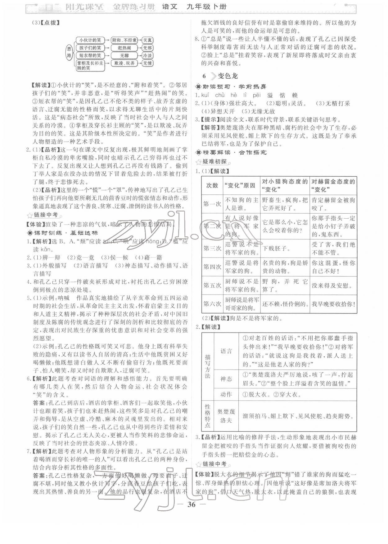 2022年陽光課堂金牌練習冊九年級語文下冊人教版 第4頁