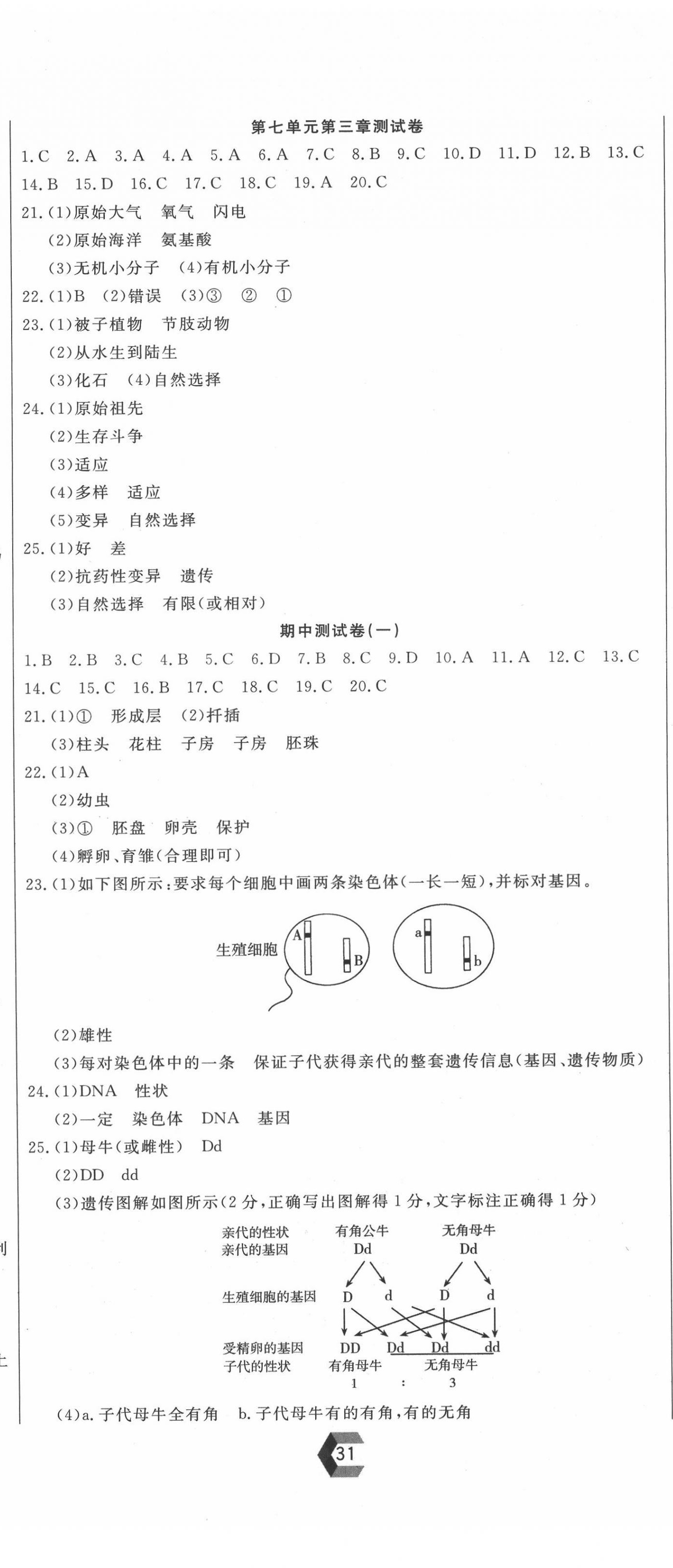 2022年新思維名師培優(yōu)卷七年級(jí)生物下冊(cè)人教版 第2頁(yè)